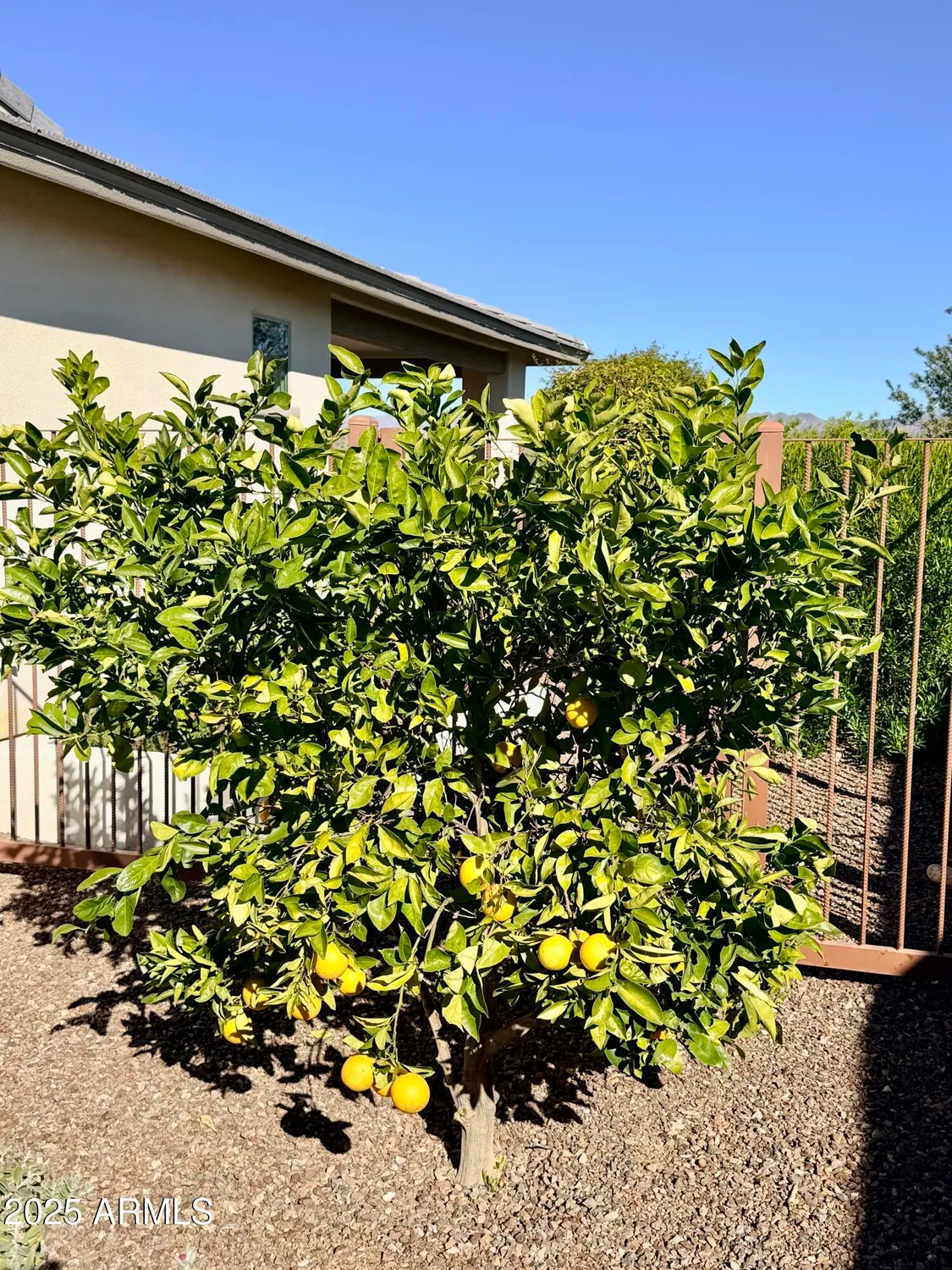 Property Slideshow image 33 of 36 | 3300 sparrows creek way, Wickenburg, AZ, 85390