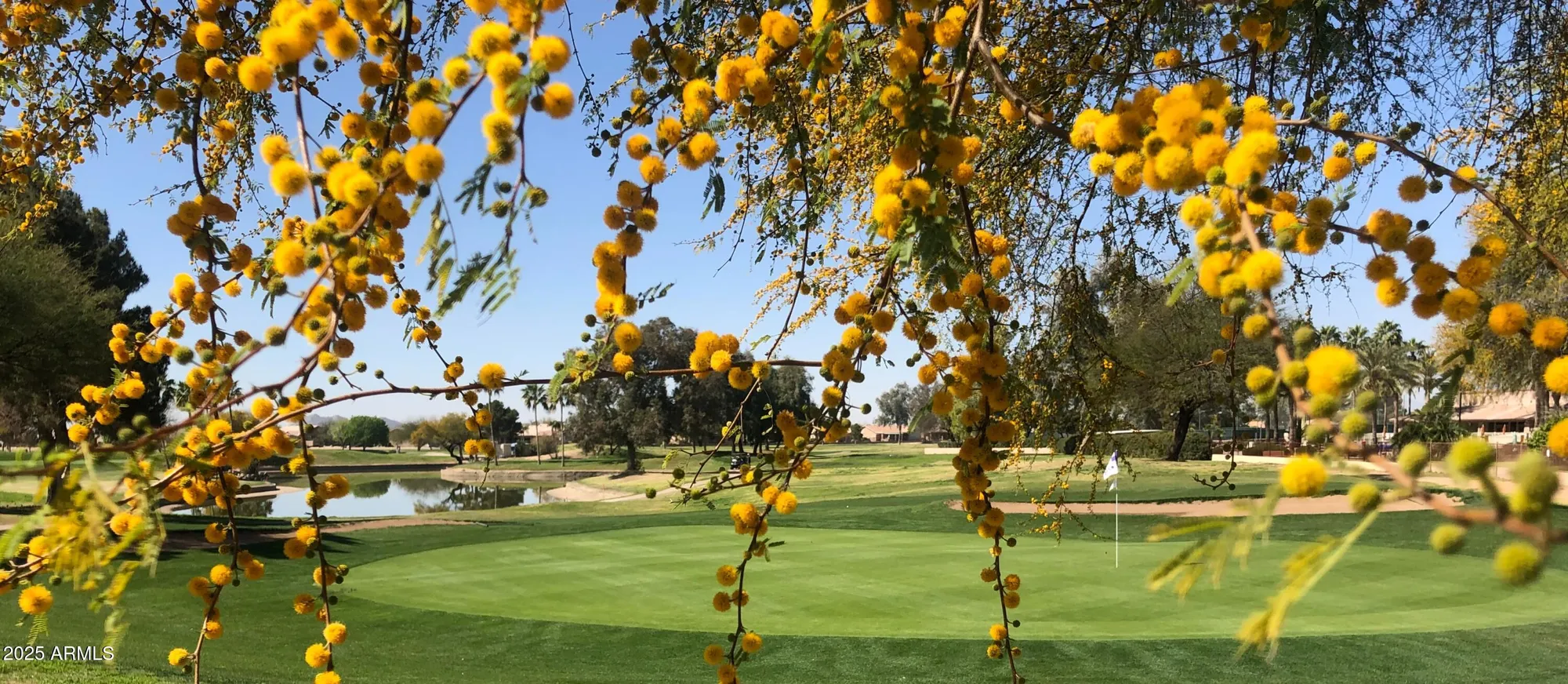 Property Slideshow image 42 of 44 | 1410 e county down dr, Chandler, AZ, 85249