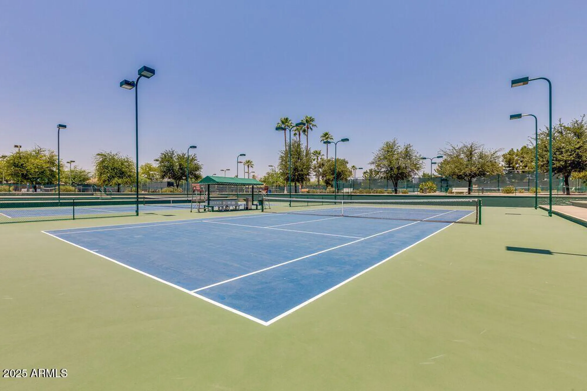 Property Slideshow image 93 of 115 | 9342 e coopers hawk dr, Sun Lakes, AZ, 85248