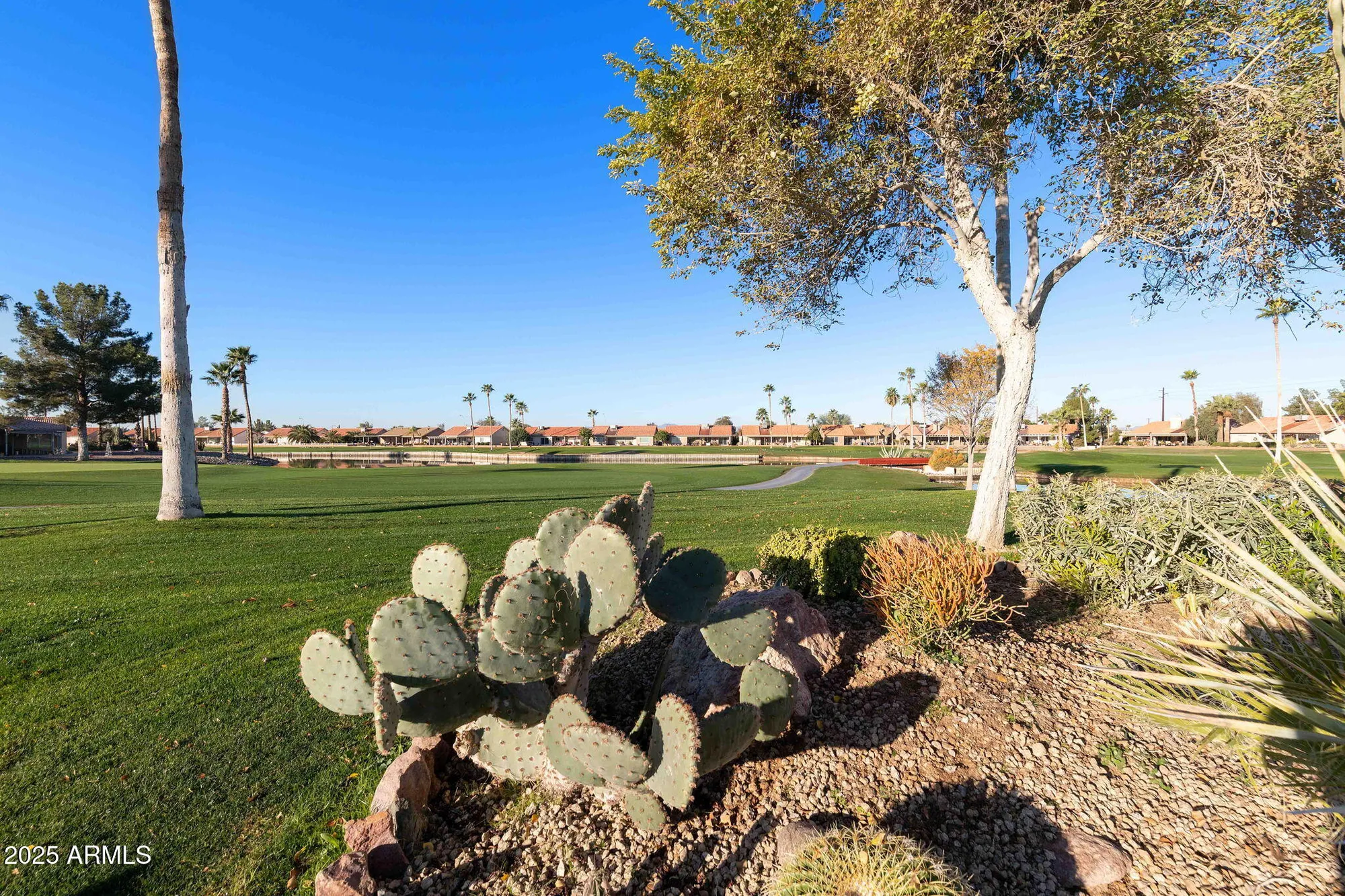 Property Slideshow image 46 of 51 | 1926 e lindrick dr, Chandler, AZ, 85249