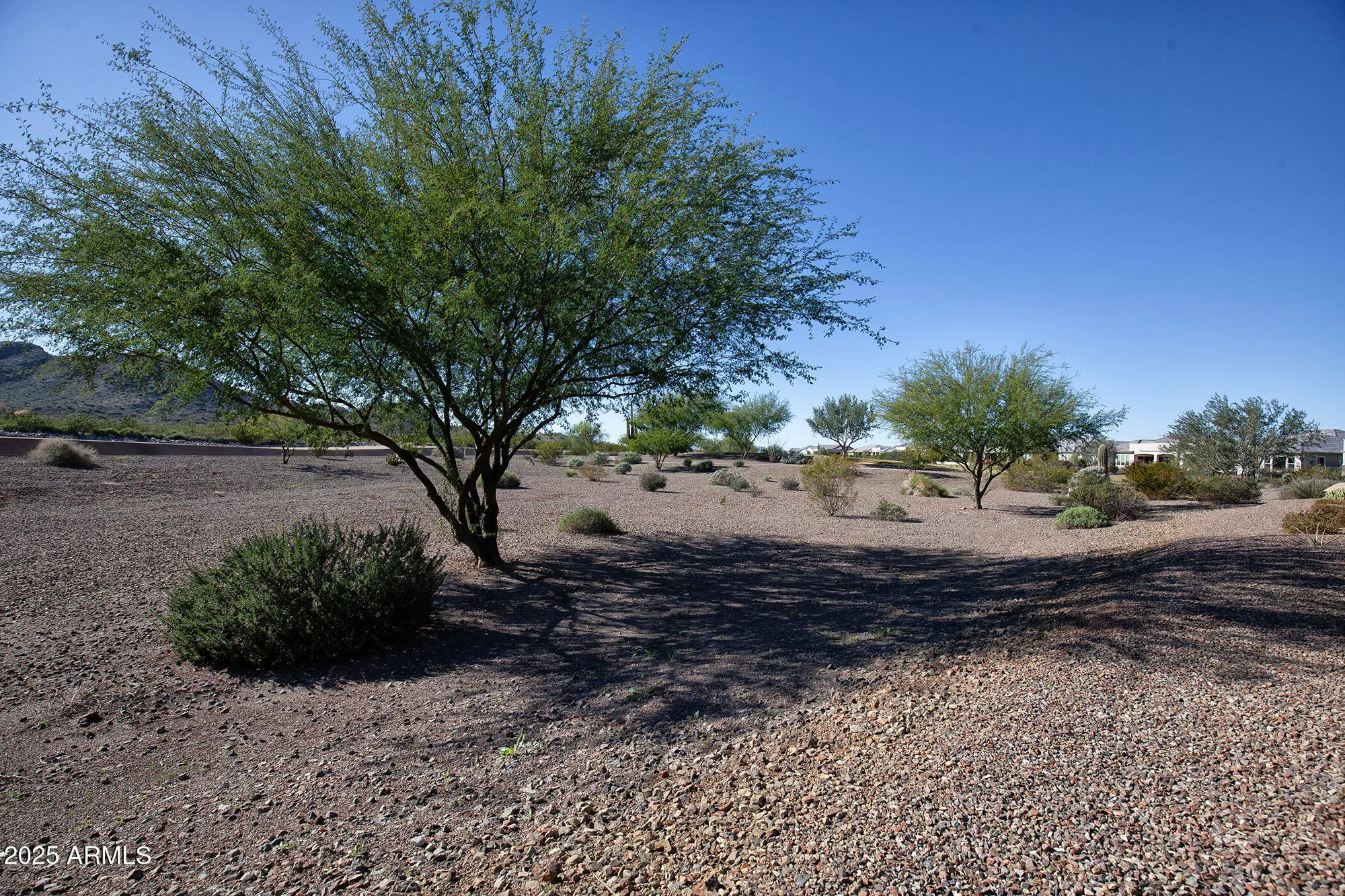 Property Slideshow image 107 of 119 | 26127 w jason dr, Buckeye, AZ, 85396