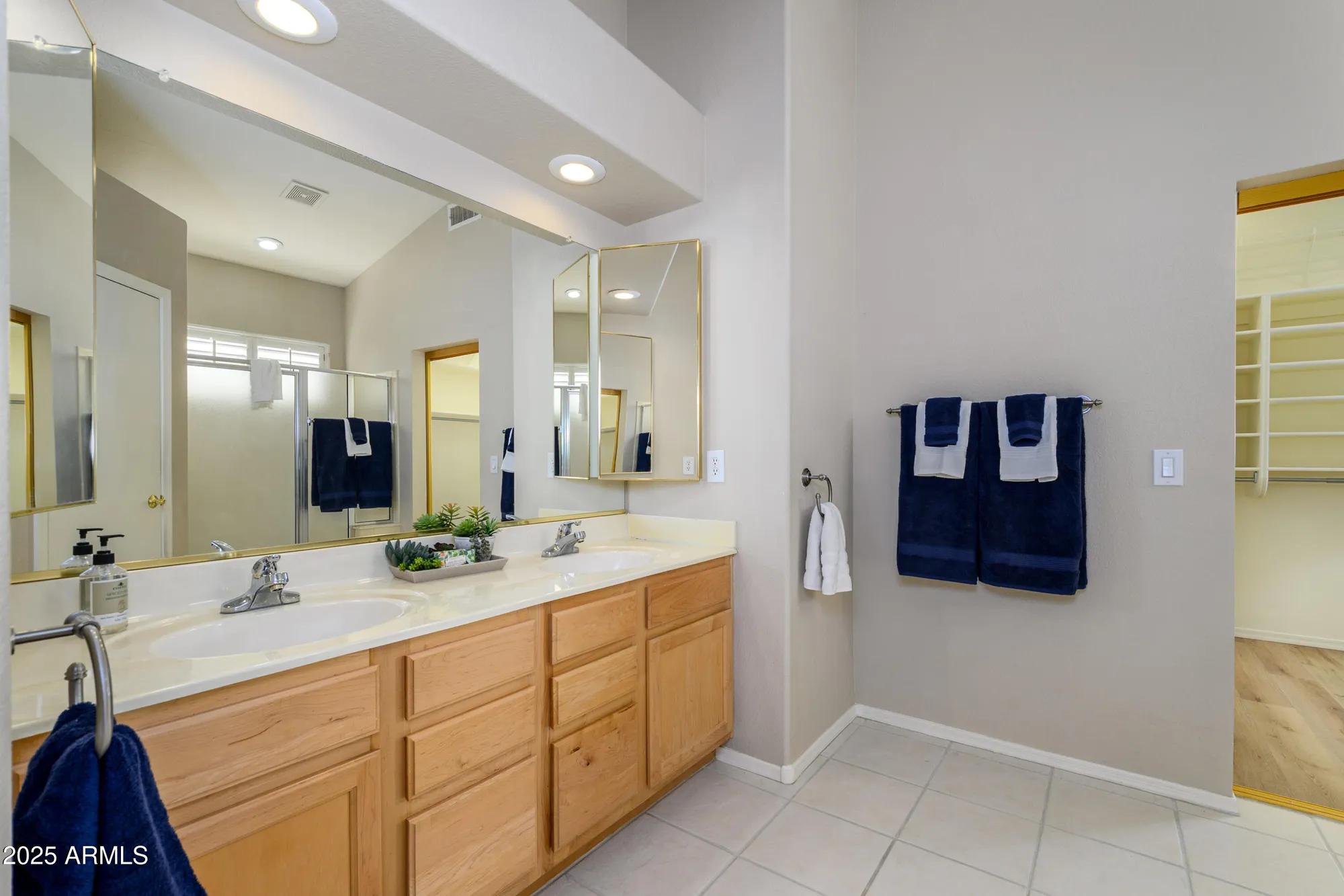 Property Slideshow image 18 of 41 | 17016 n javelina dr, Surprise, AZ, 85374