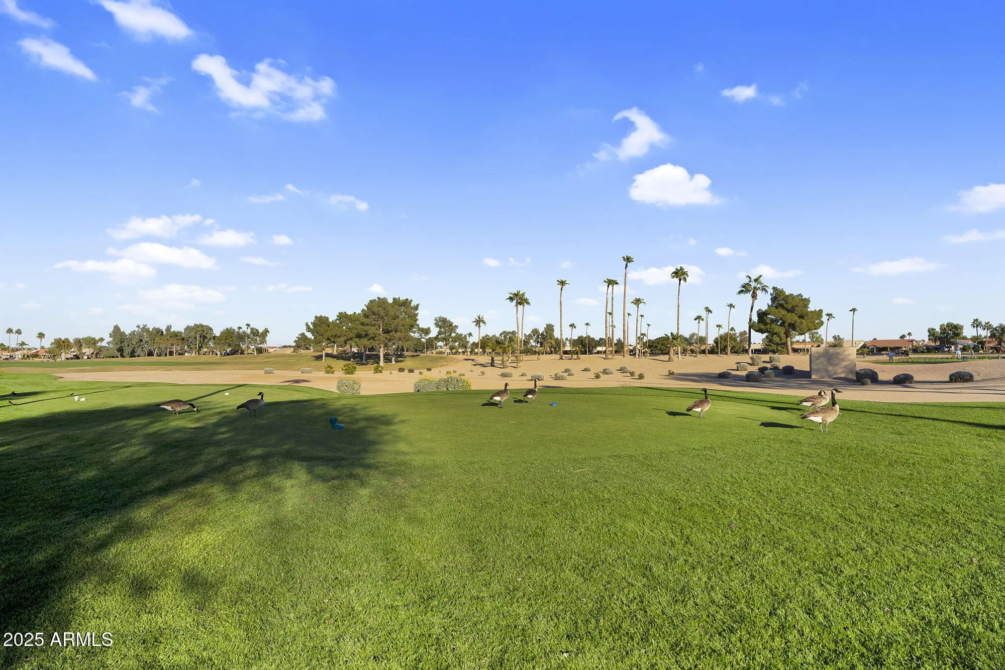 Property Slideshow image 37 of 40 | 15666 w fairmount ave, Goodyear, AZ, 85395