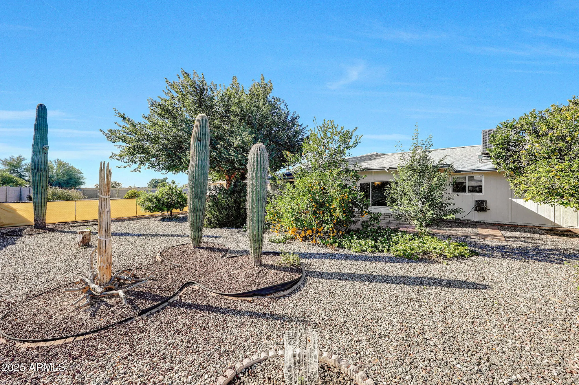 Property Slideshow image 40 of 41 | 12611 n blue ridge dr, Sun City, AZ, 85351
