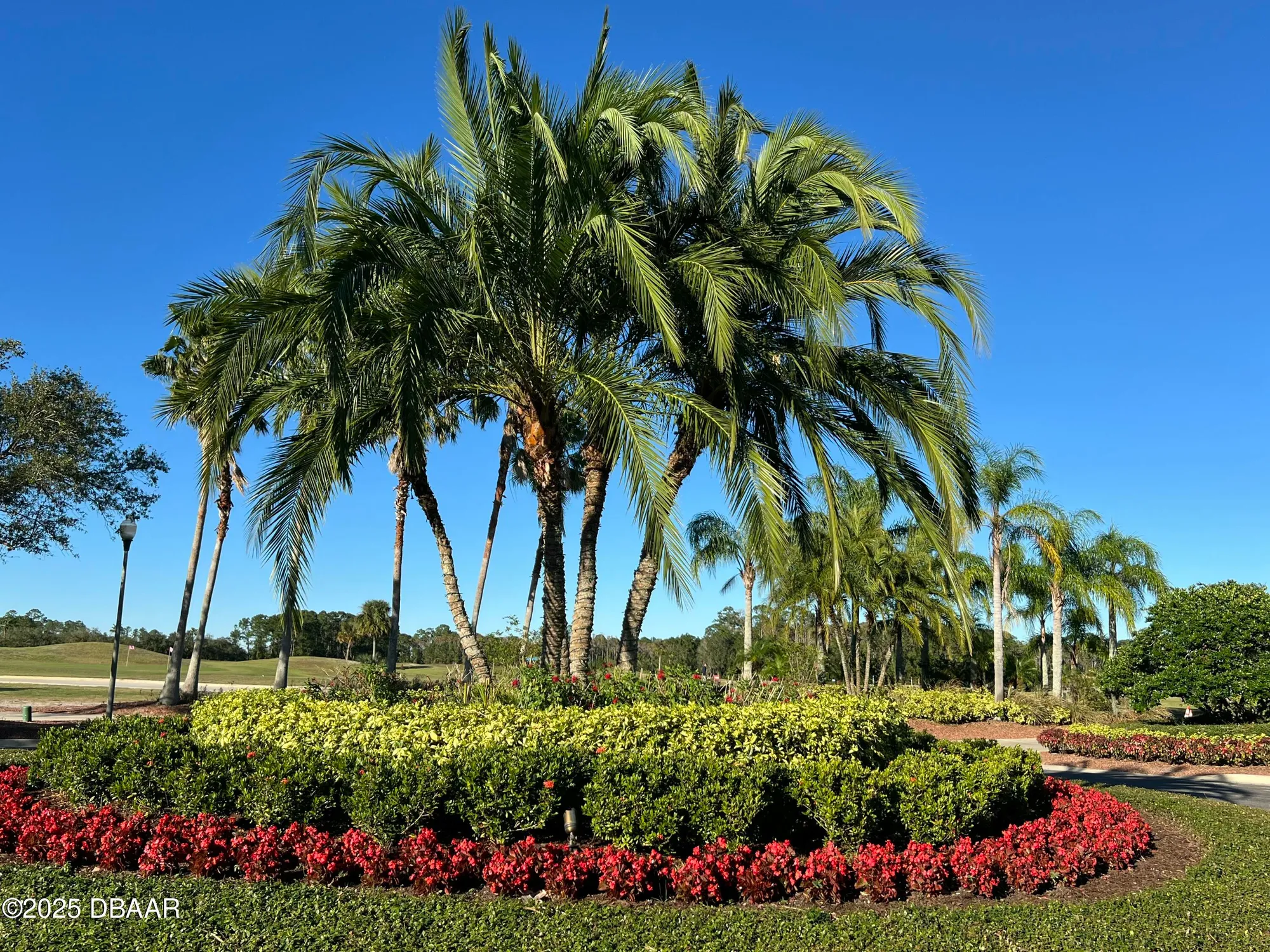 Property Slideshow image 22 of 29 | 3325 pintello ave, New Smyrna Beach, FL, 32168