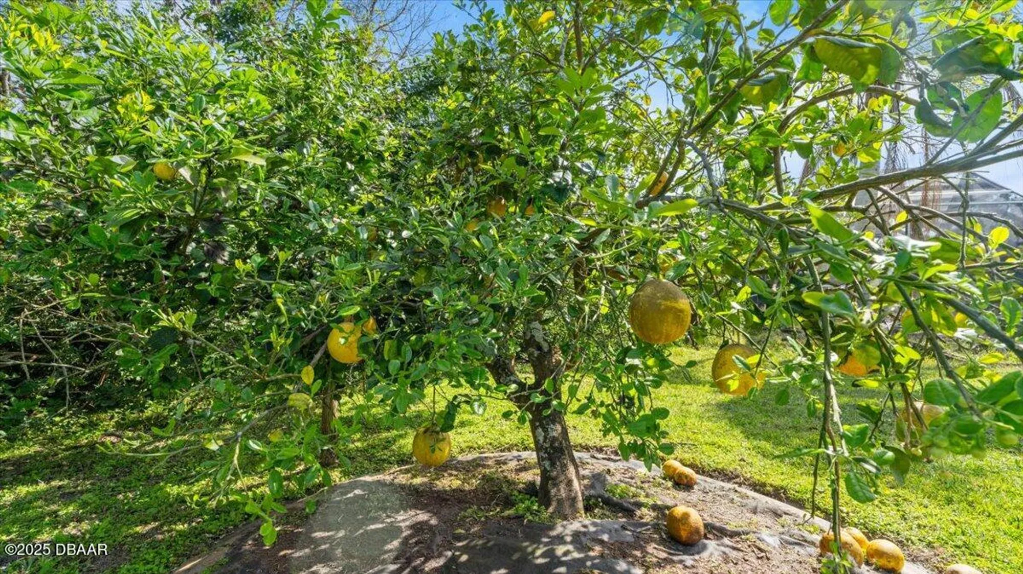 Property Slideshow image 35 of 47 | 4 creek bluff way, Ormond Beach, FL, 32174
