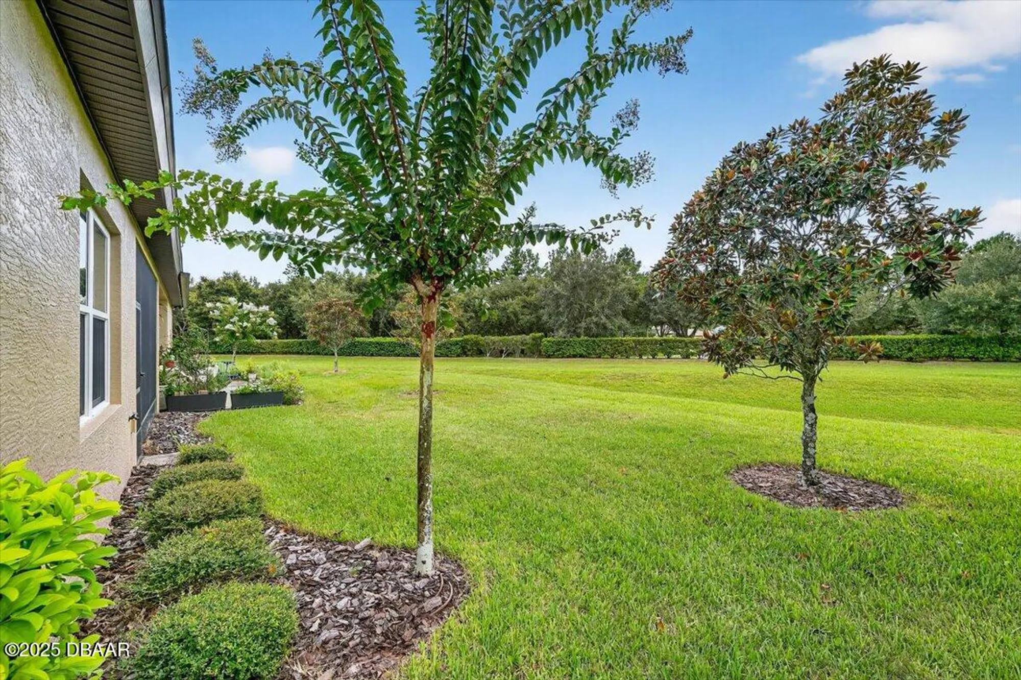 Property Slideshow image 28 of 42 | 3124 bailey ann dr, Ormond Beach, FL, 32174