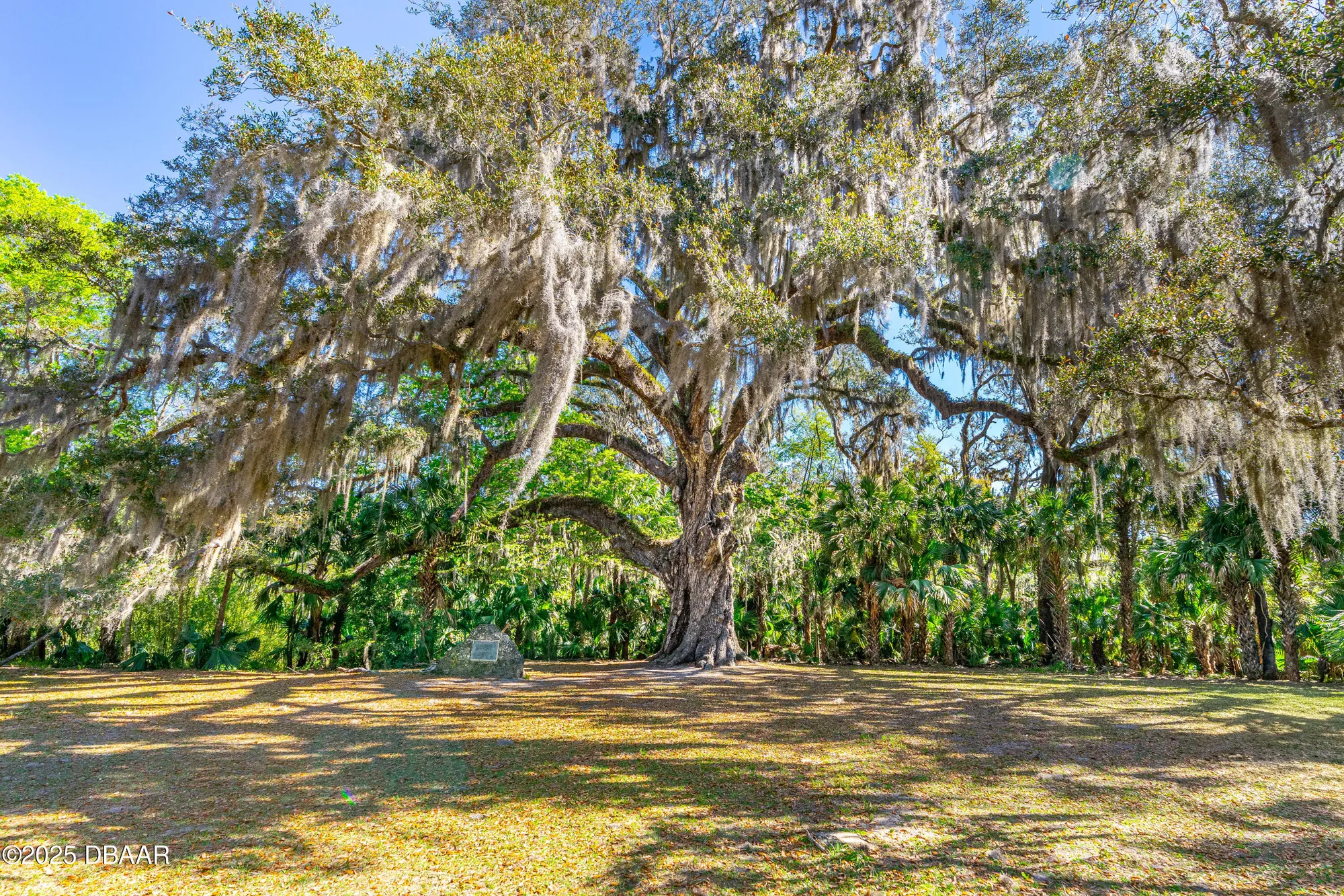 Property Slideshow image 27 of 41 | 3231 galty cir, Ormond Beach, FL, 32174