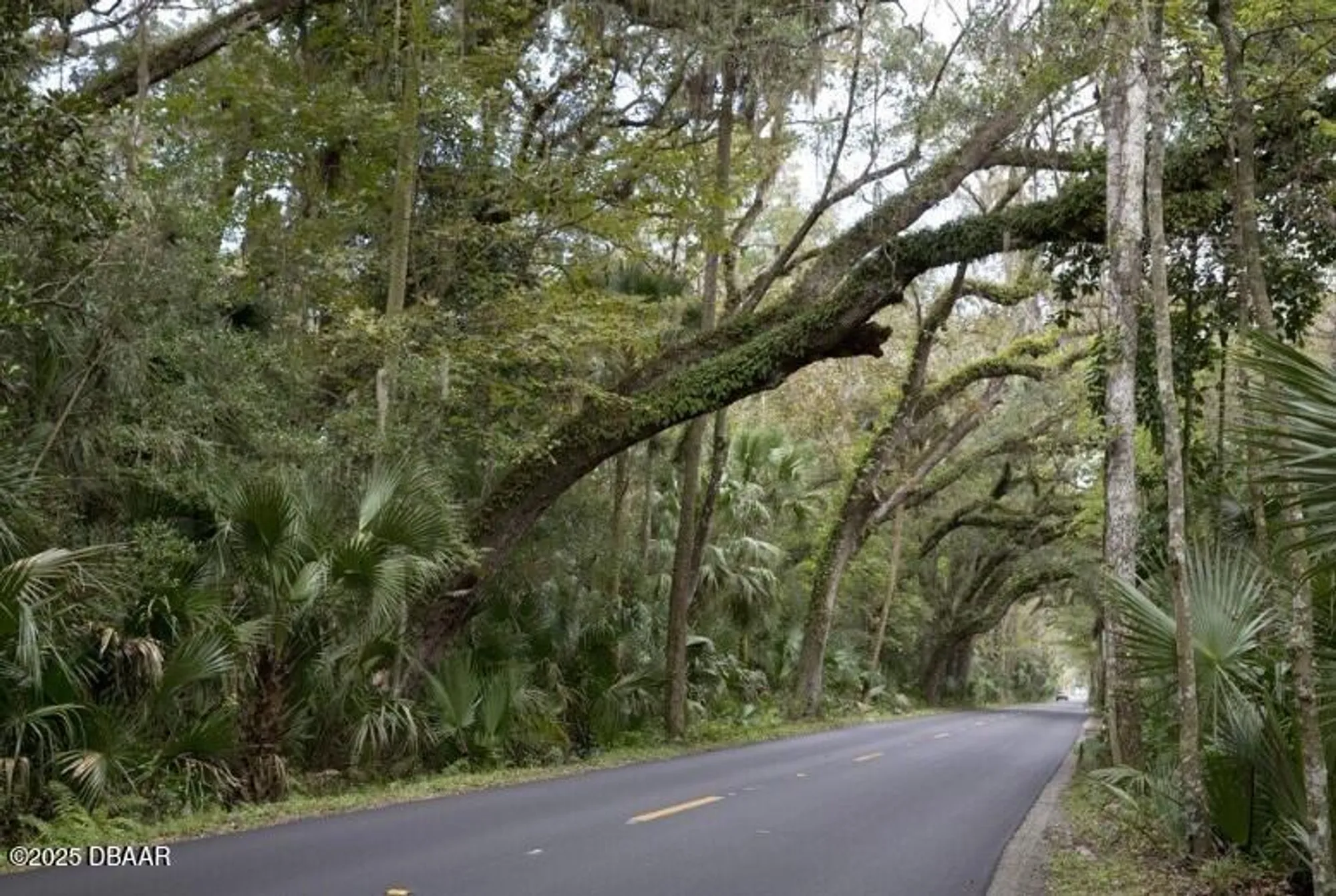 Property Slideshow image 36 of 41 | 3231 galty cir, Ormond Beach, FL, 32174