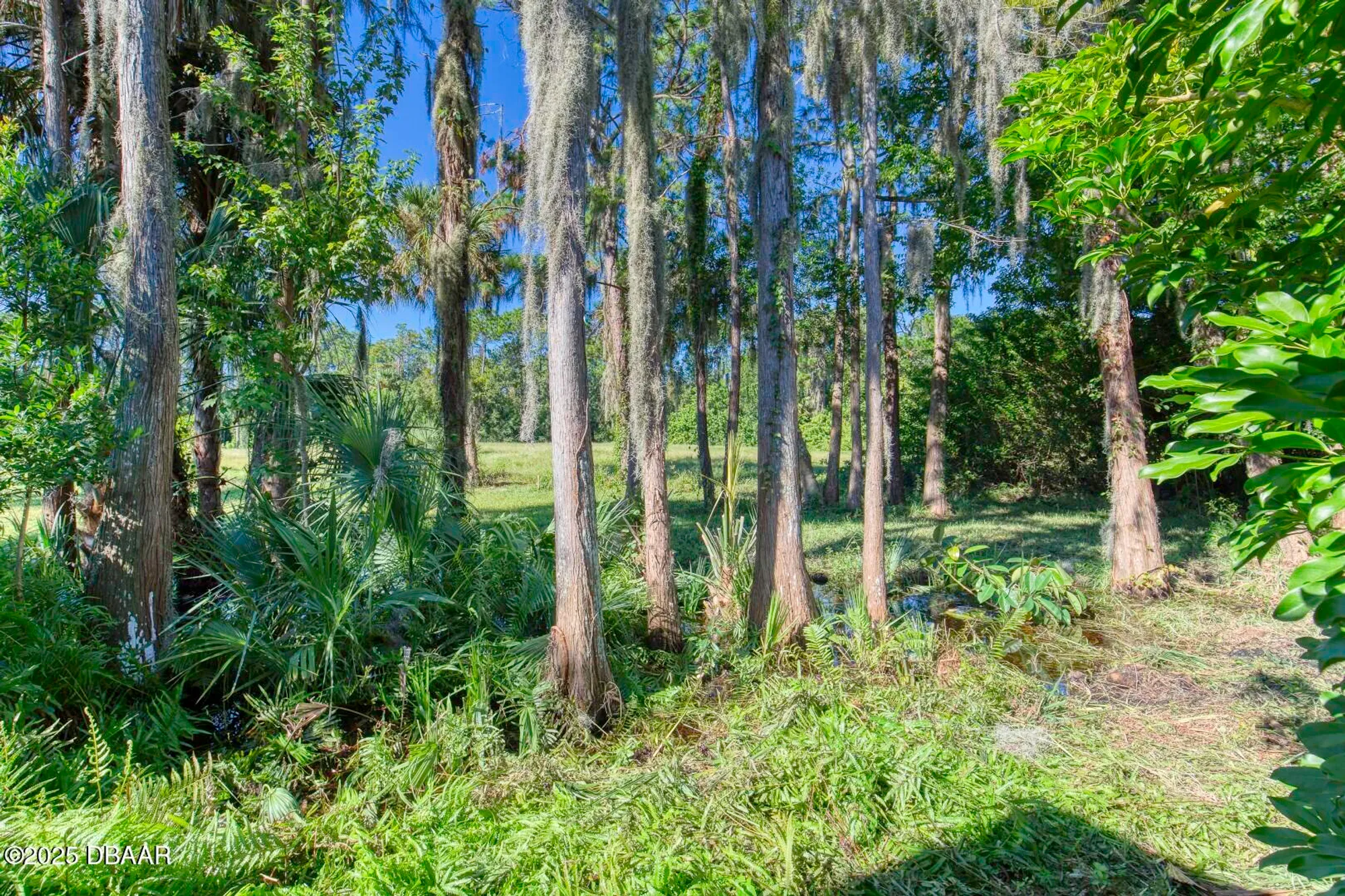 Property Slideshow image 54 of 86 | 105 marbled godwit ct, Daytona Beach, FL, 32119