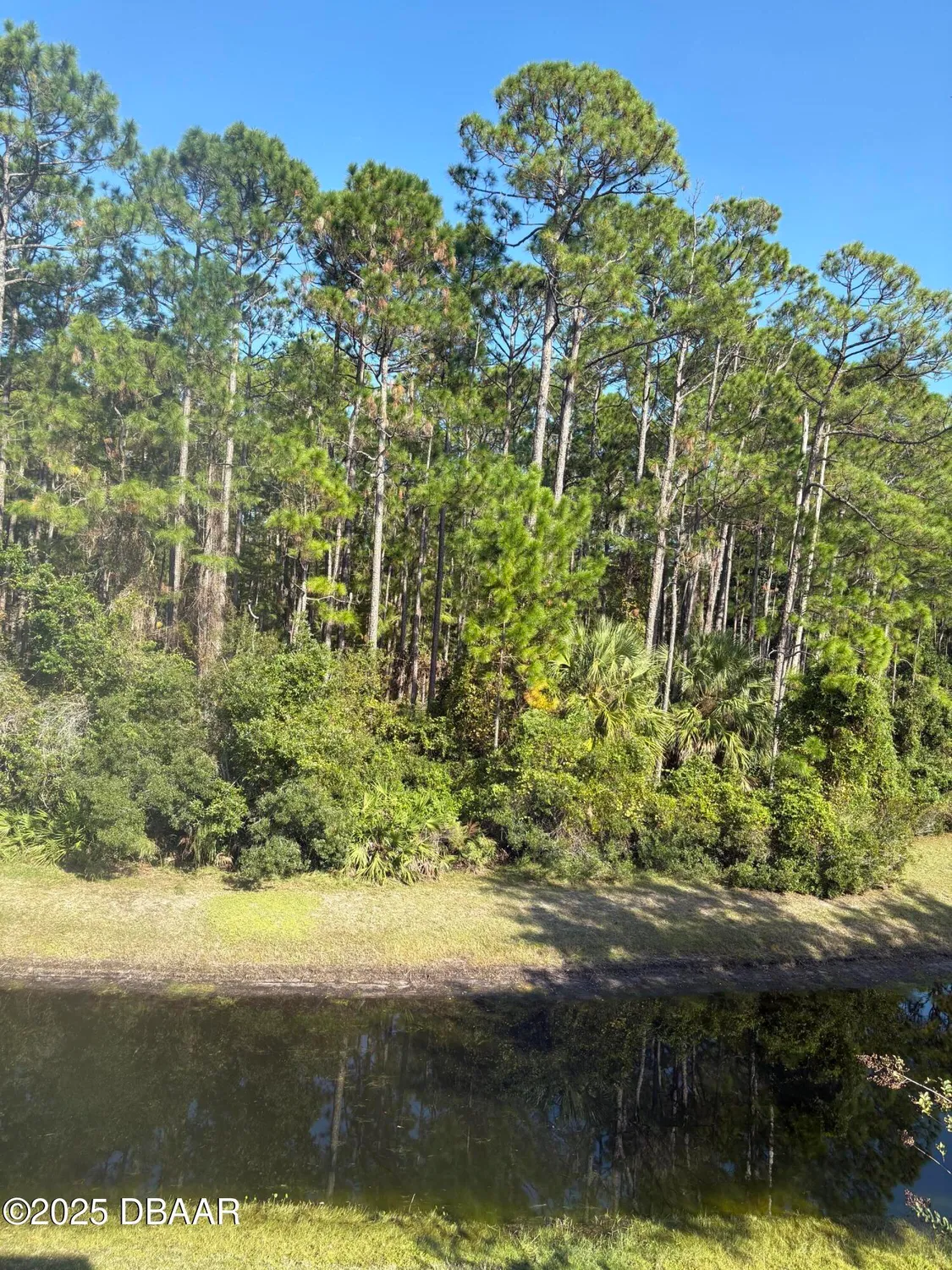 Property Slideshow image 43 of 44 | 1109 hansberry ct, Ormond Beach, FL, 32174