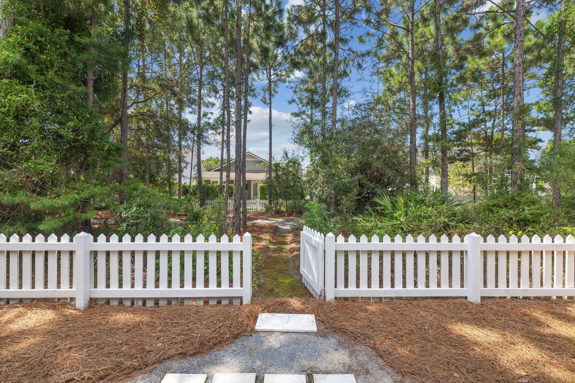 Property Slideshow image 33 of 40 | 167 jack knife dr, Inlet Beach, FL, 32461
