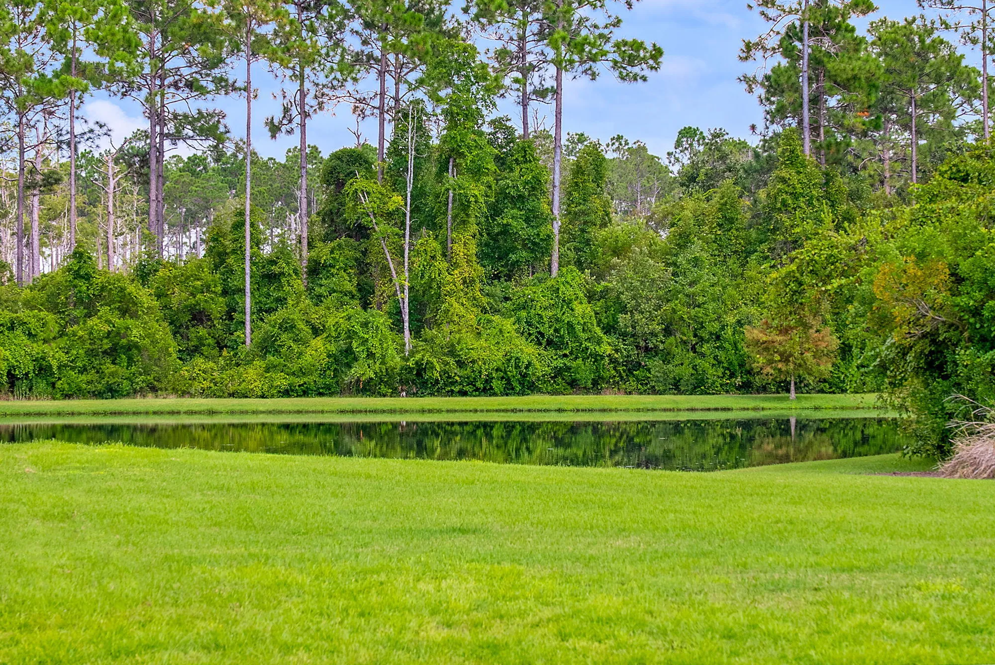 Property Slideshow image 7 of 43 | 290 windrow way, Watersound, FL, 32461