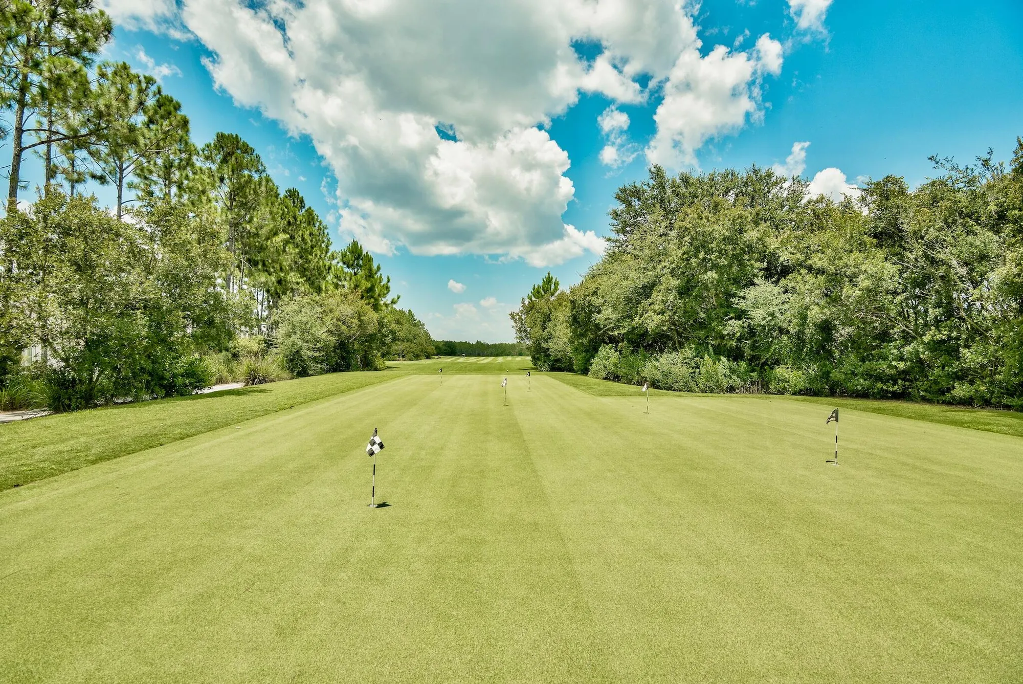 Property Slideshow image 61 of 67 | 21 rosecourt st, Watersound, FL, 32461