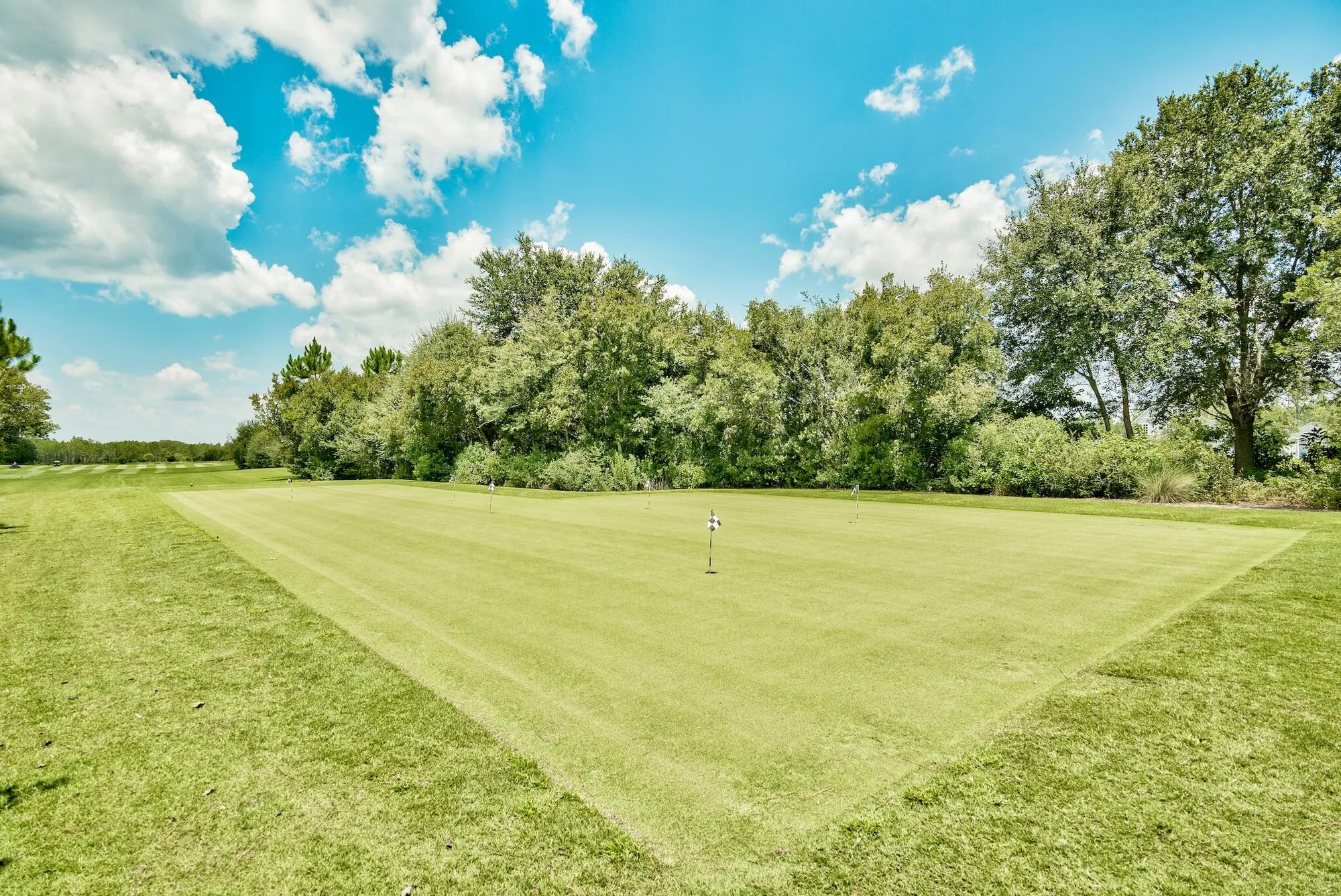 Property Slideshow image 62 of 67 | 21 rosecourt st, Watersound, FL, 32461