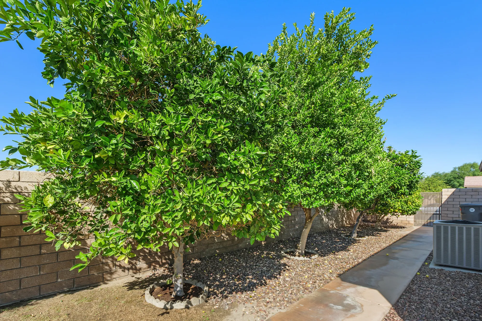 Property Slideshow image 10 of 36 | 84303 eremo way, Indio, CA, 92203