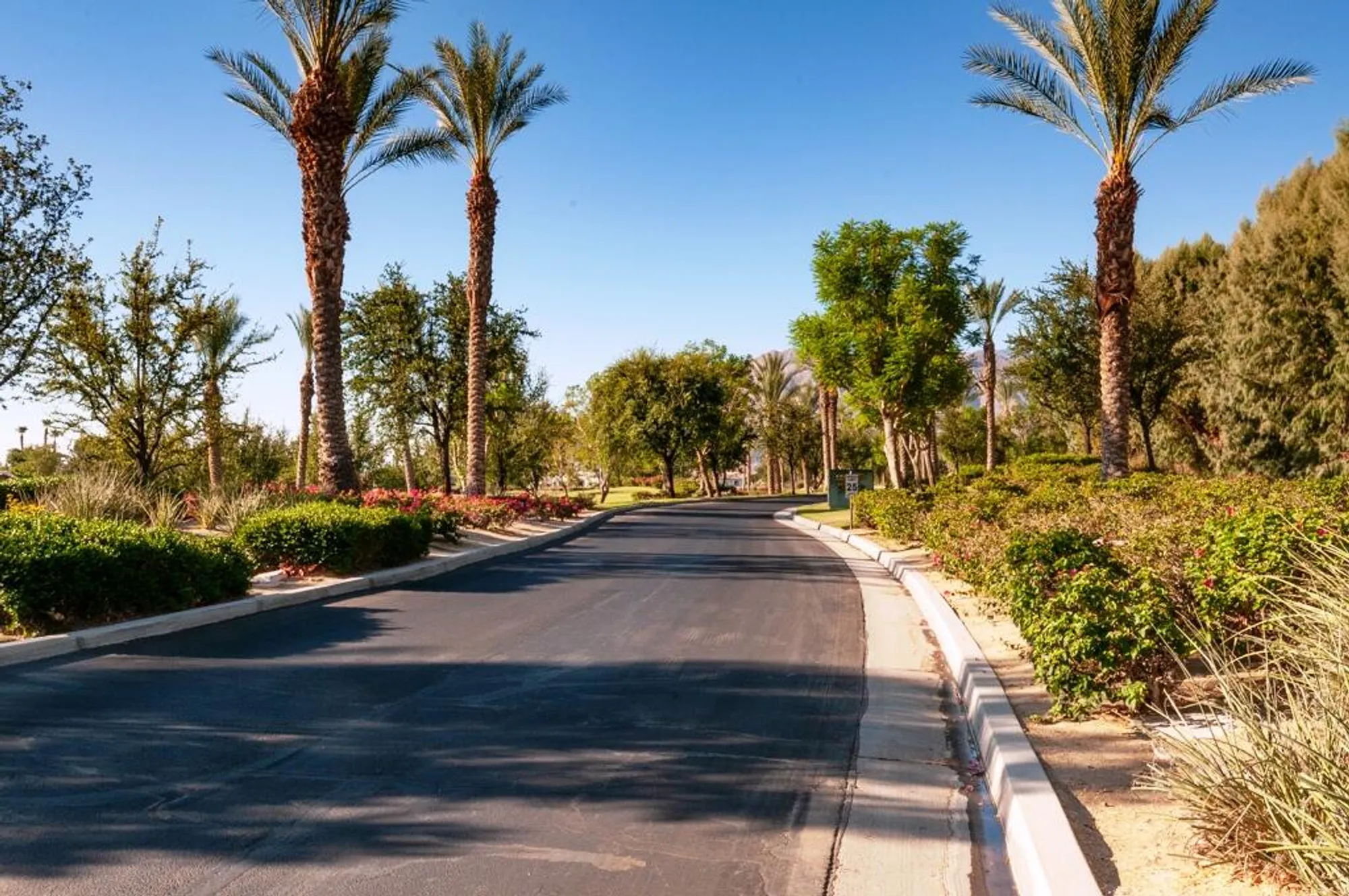 Property Slideshow image 48 of 75 | 81711 brittlebush ln, La Quinta, CA, 92253