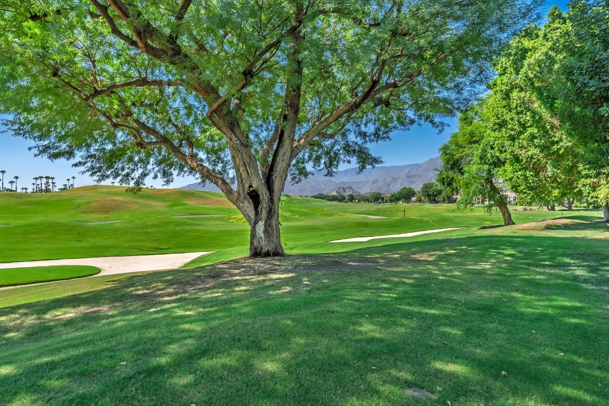 Property Slideshow image 23 of 32 | 54326 oak tree a122, La Quinta, CA, 92253