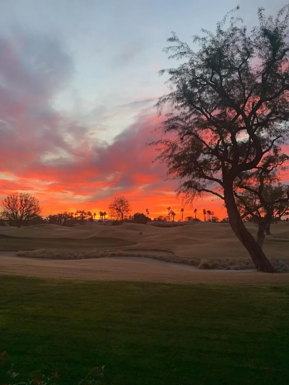 Property Slideshow image 18 of 32 | 54326 oak tree a122, La Quinta, CA, 92253