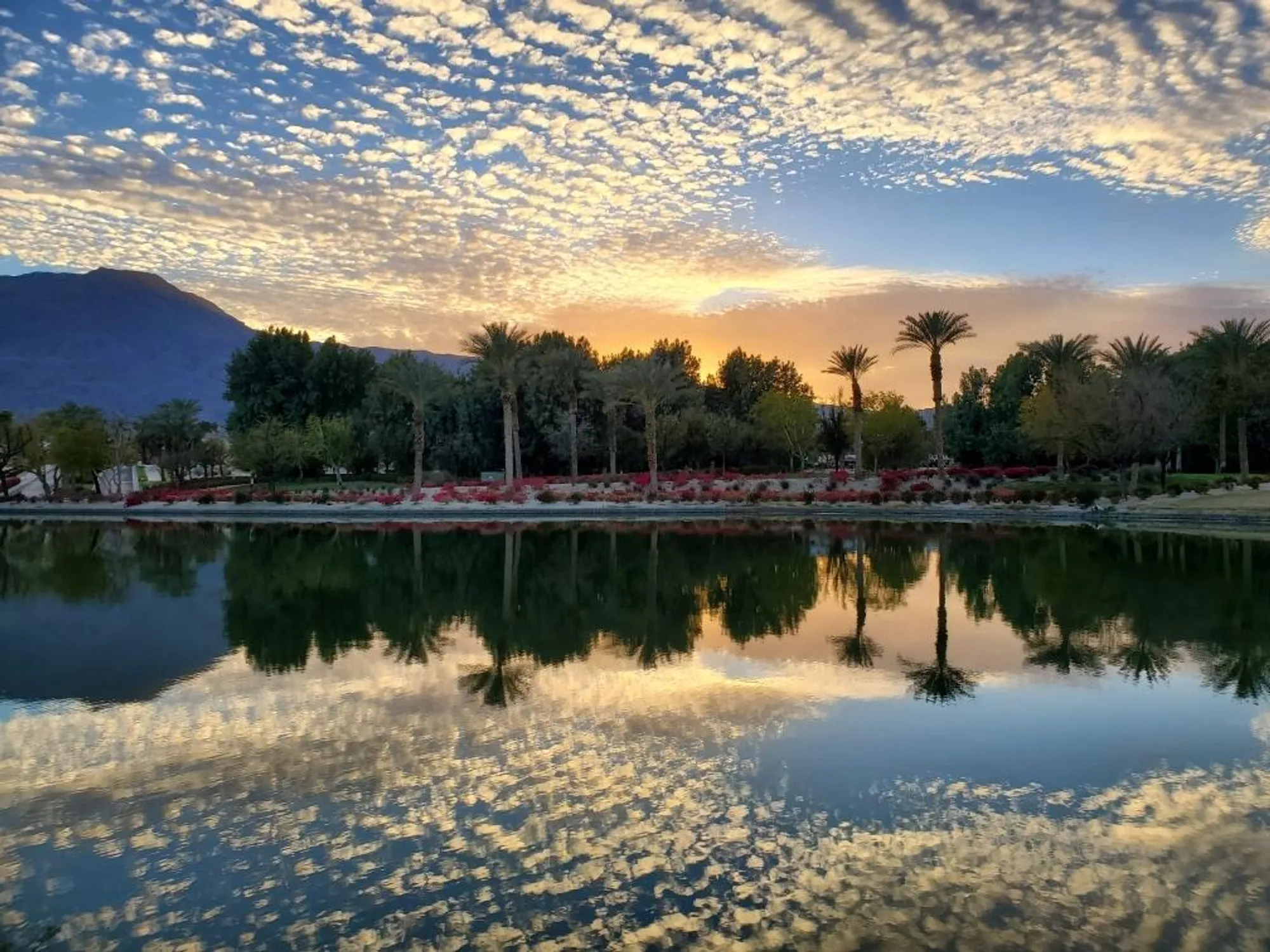 Property Slideshow image 9 of 96 | 60553 juniper ln, La Quinta, CA, 92253