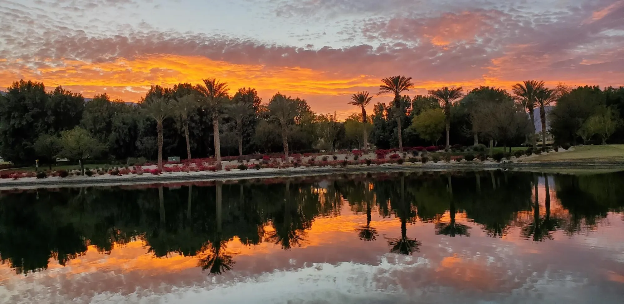 Property Slideshow image 10 of 96 | 60553 juniper ln, La Quinta, CA, 92253