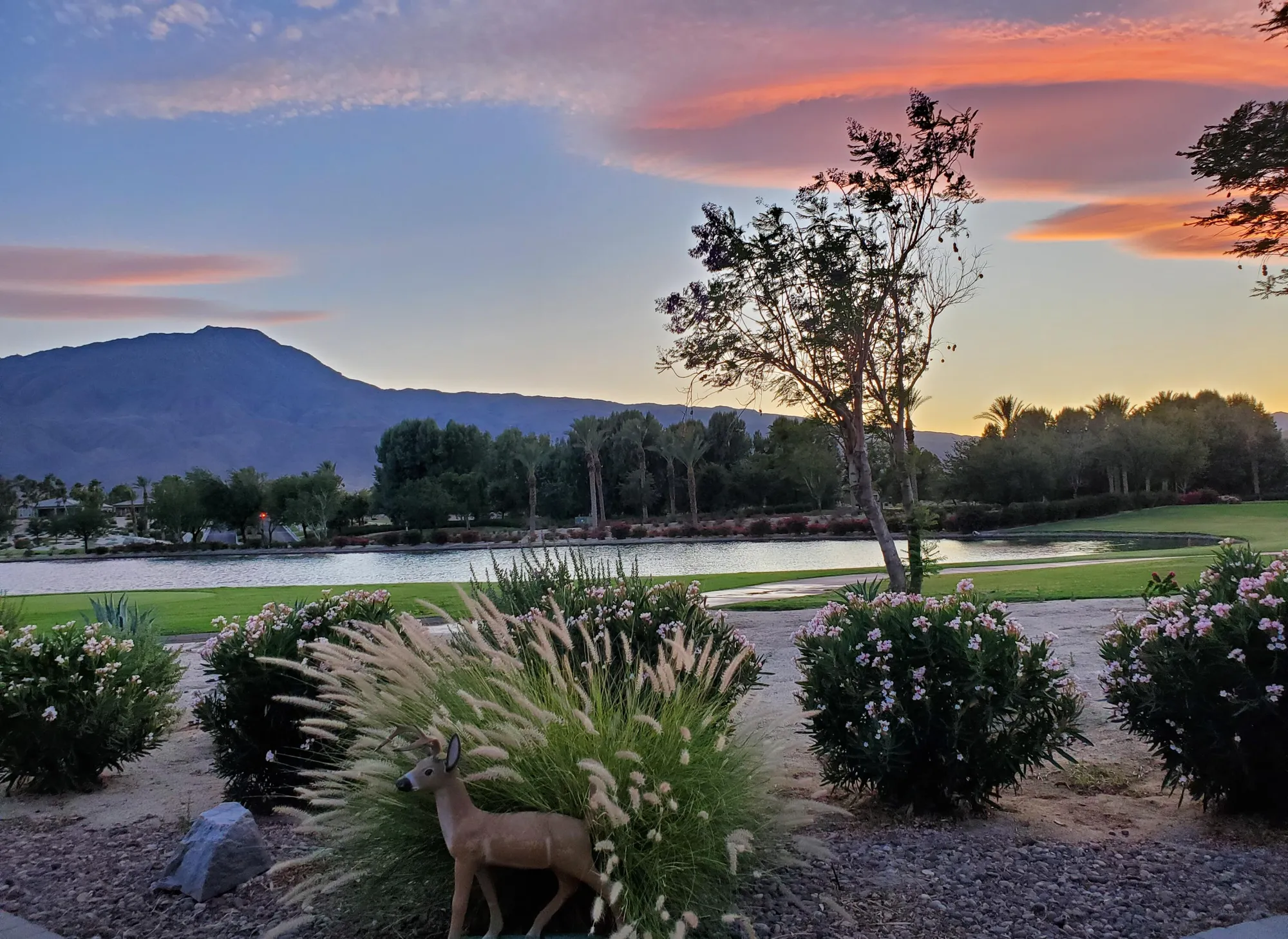 Property Slideshow image 11 of 96 | 60553 juniper ln, La Quinta, CA, 92253