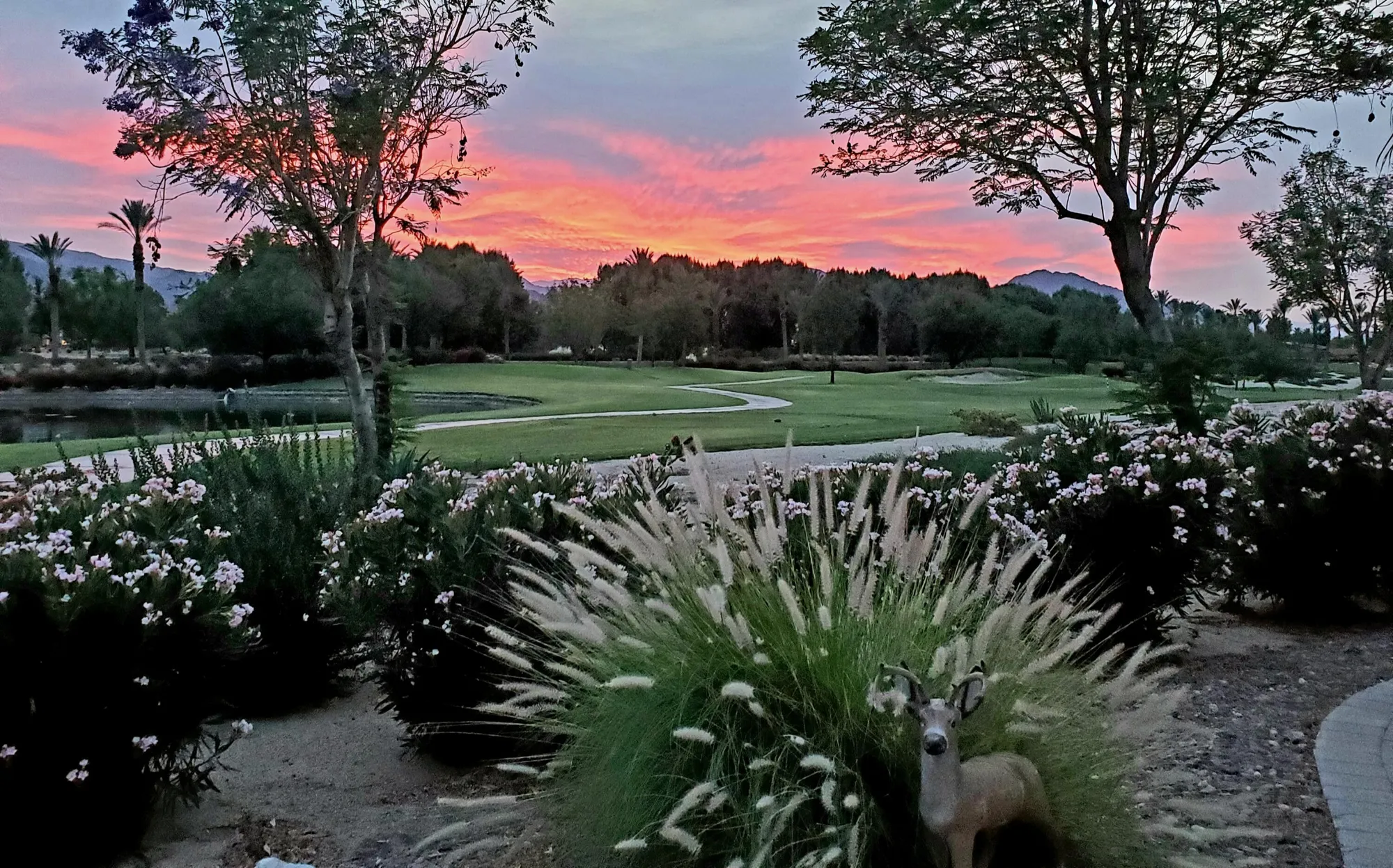 Property Slideshow image 12 of 96 | 60553 juniper ln, La Quinta, CA, 92253