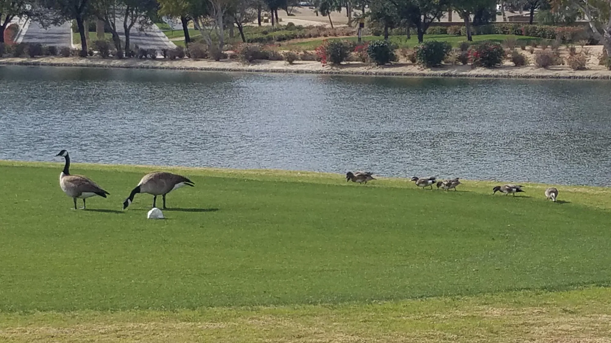Property Slideshow image 13 of 96 | 60553 juniper ln, La Quinta, CA, 92253