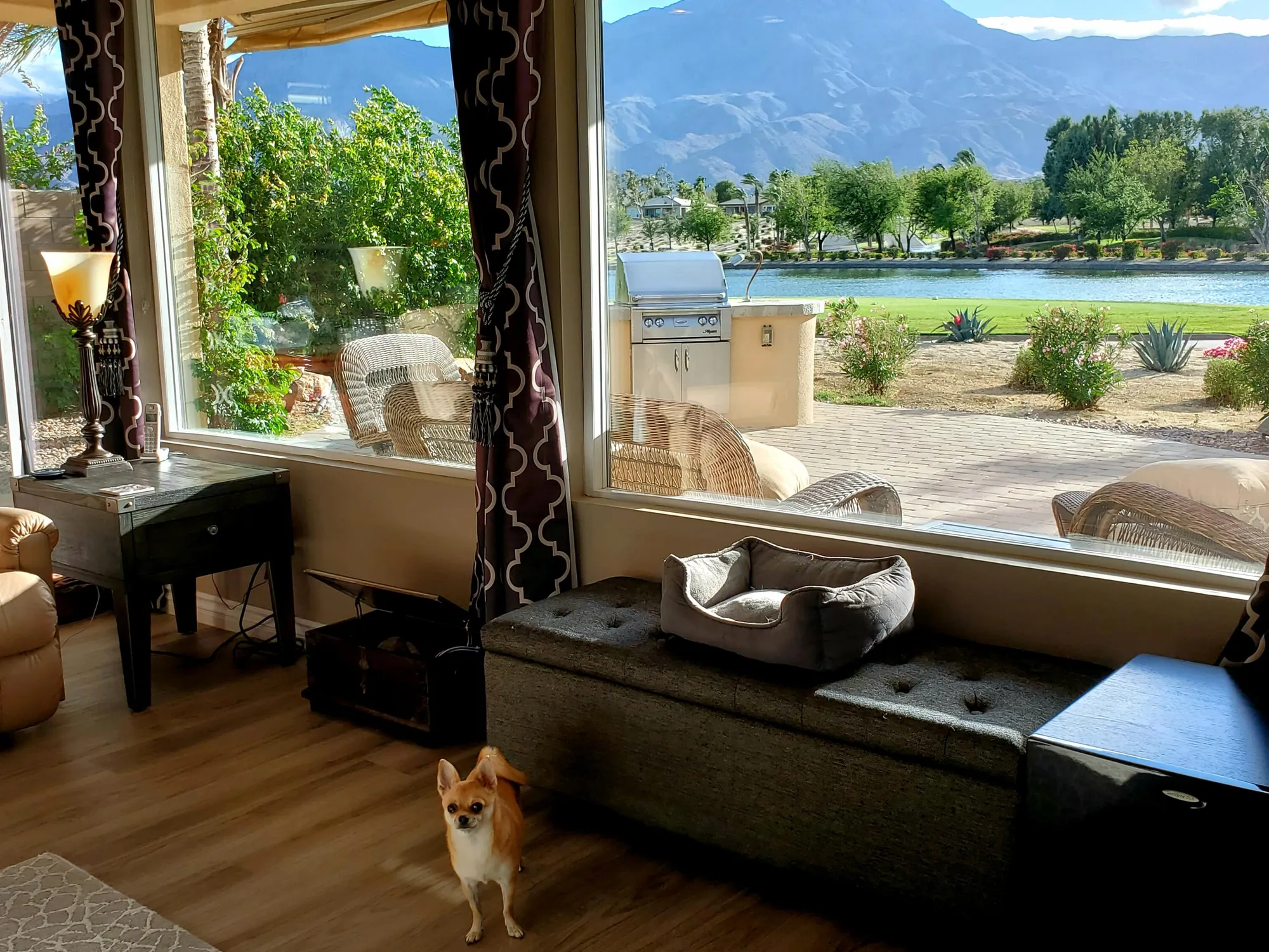 Property Slideshow image 23 of 96 | 60553 juniper ln, La Quinta, CA, 92253