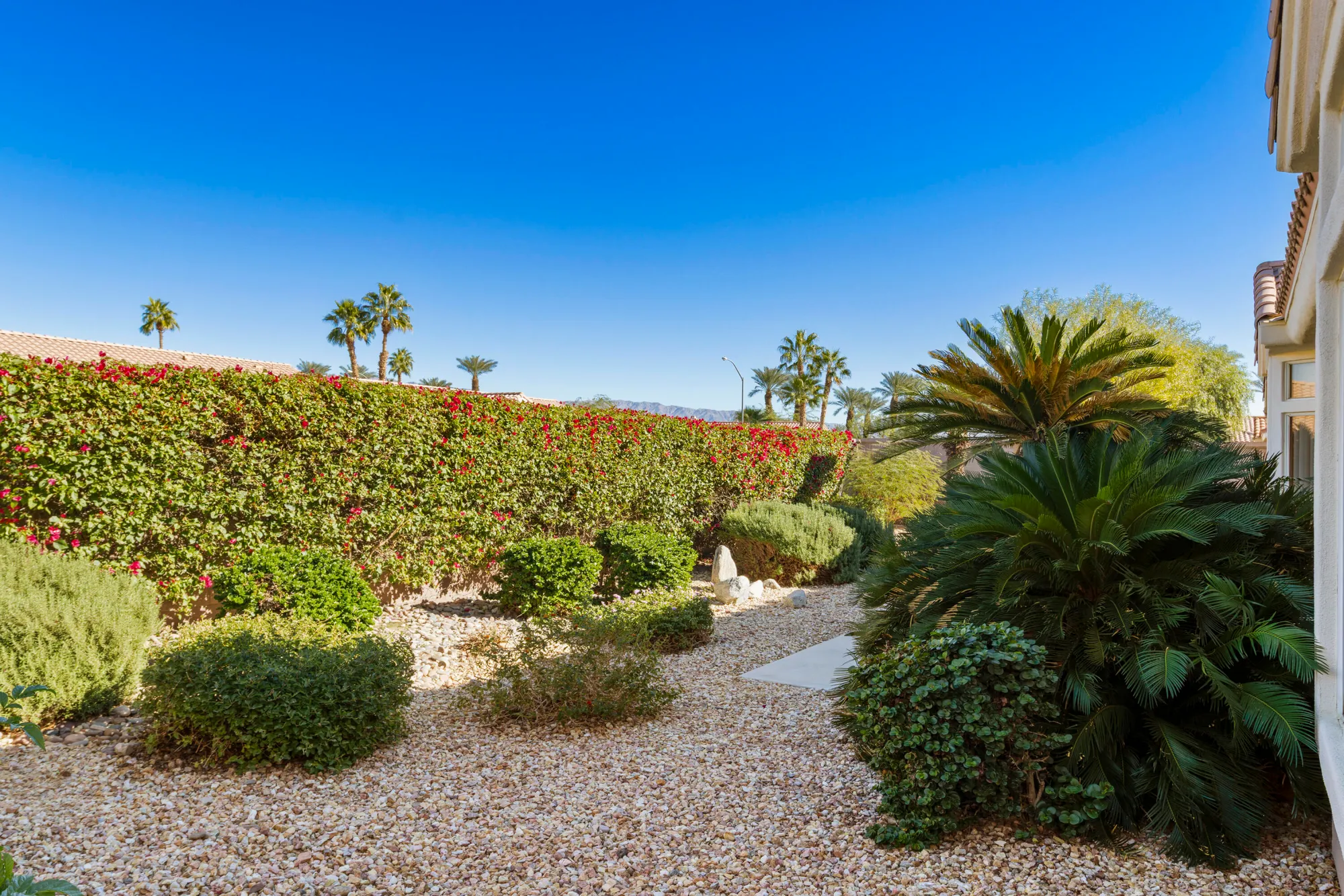 Property Slideshow image 36 of 43 | 78650 blooming ct, Palm Desert, CA, 92211
