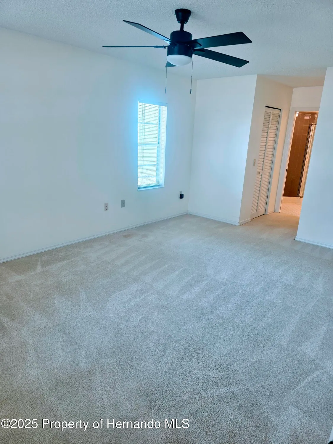 Property Slideshow image 13 of 46 | 9843 saint joseph ct, New Port Richey, FL, 34655