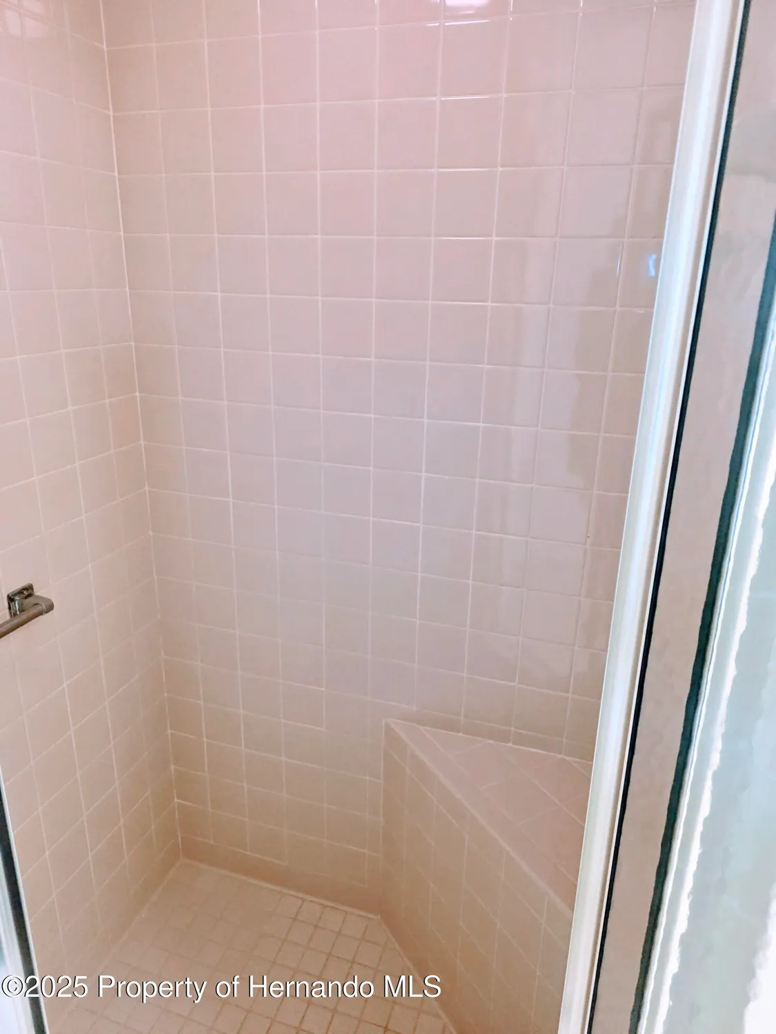 Property Slideshow image 19 of 46 | 9843 saint joseph ct, New Port Richey, FL, 34655