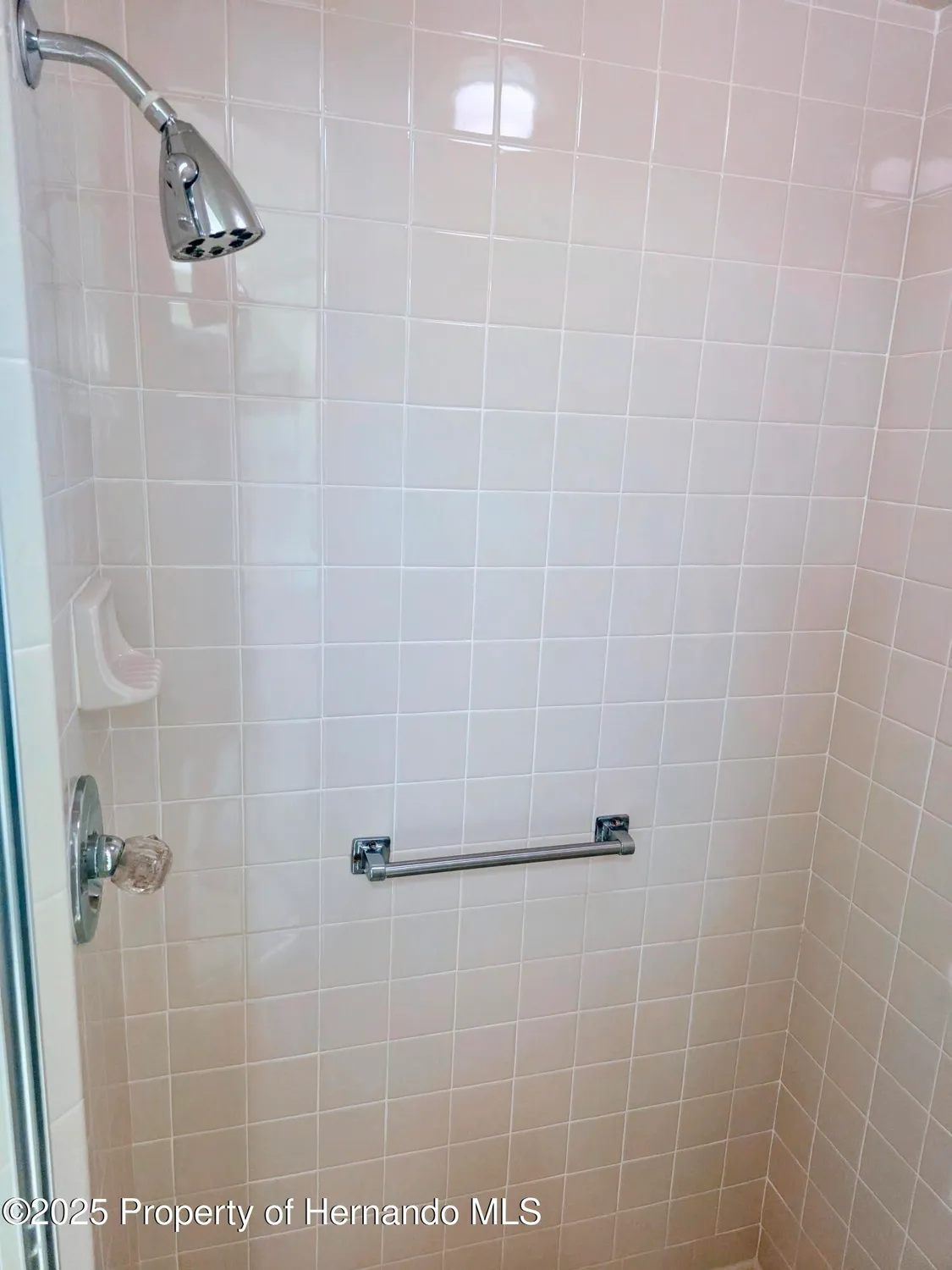 Property Slideshow image 20 of 46 | 9843 saint joseph ct, New Port Richey, FL, 34655