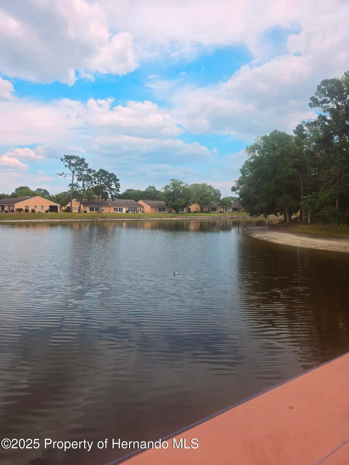 Property Slideshow image 44 of 46 | 9843 saint joseph ct, New Port Richey, FL, 34655