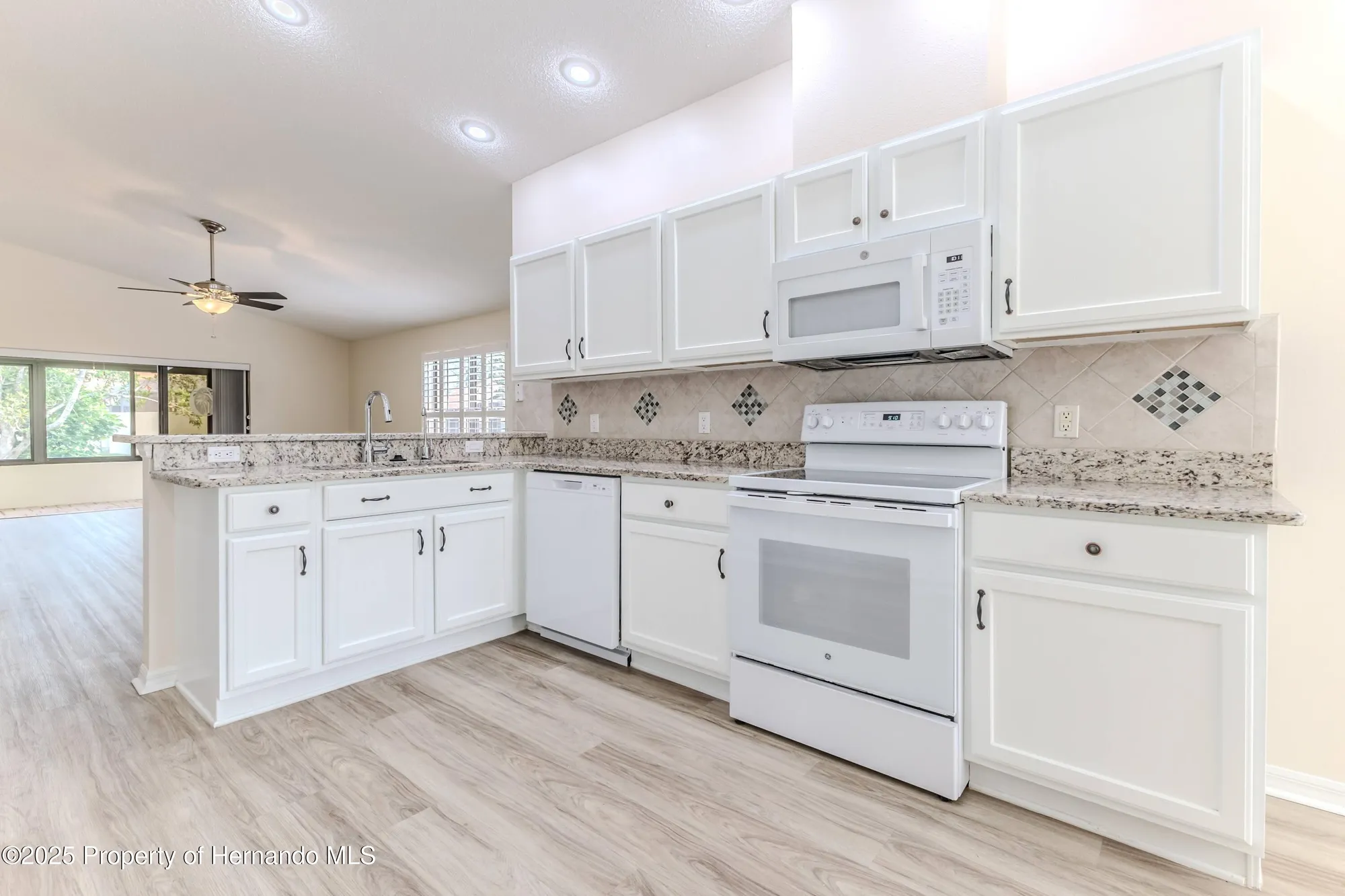 Property Slideshow image 12 of 39 | 1013 indigo run ct, Spring Hill, FL, 34609