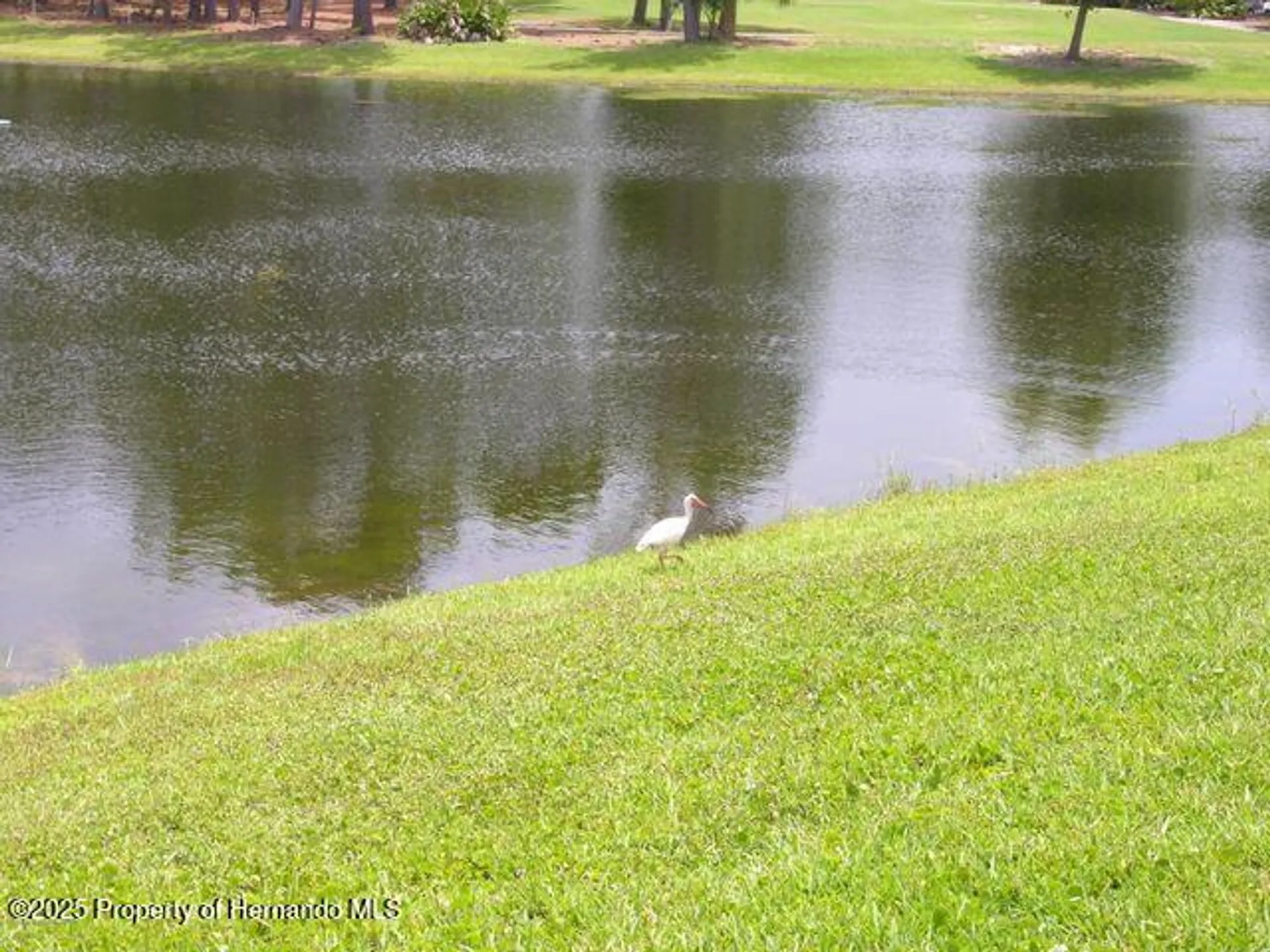 Property Slideshow image 64 of 73 | 8420 maybelle dr, Weeki Wachee, FL, 34613