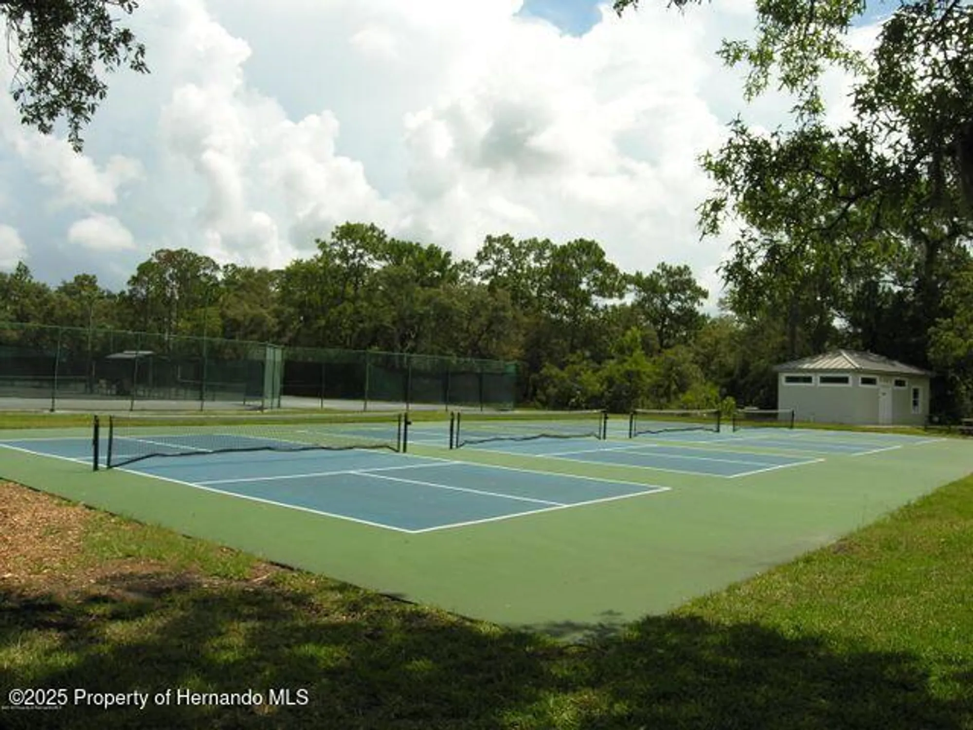 Property Slideshow image 62 of 73 | 8420 maybelle dr, Weeki Wachee, FL, 34613