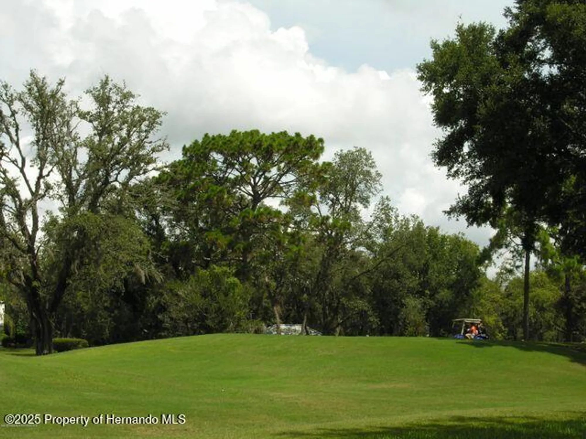 Property Slideshow image 69 of 73 | 8420 maybelle dr, Weeki Wachee, FL, 34613