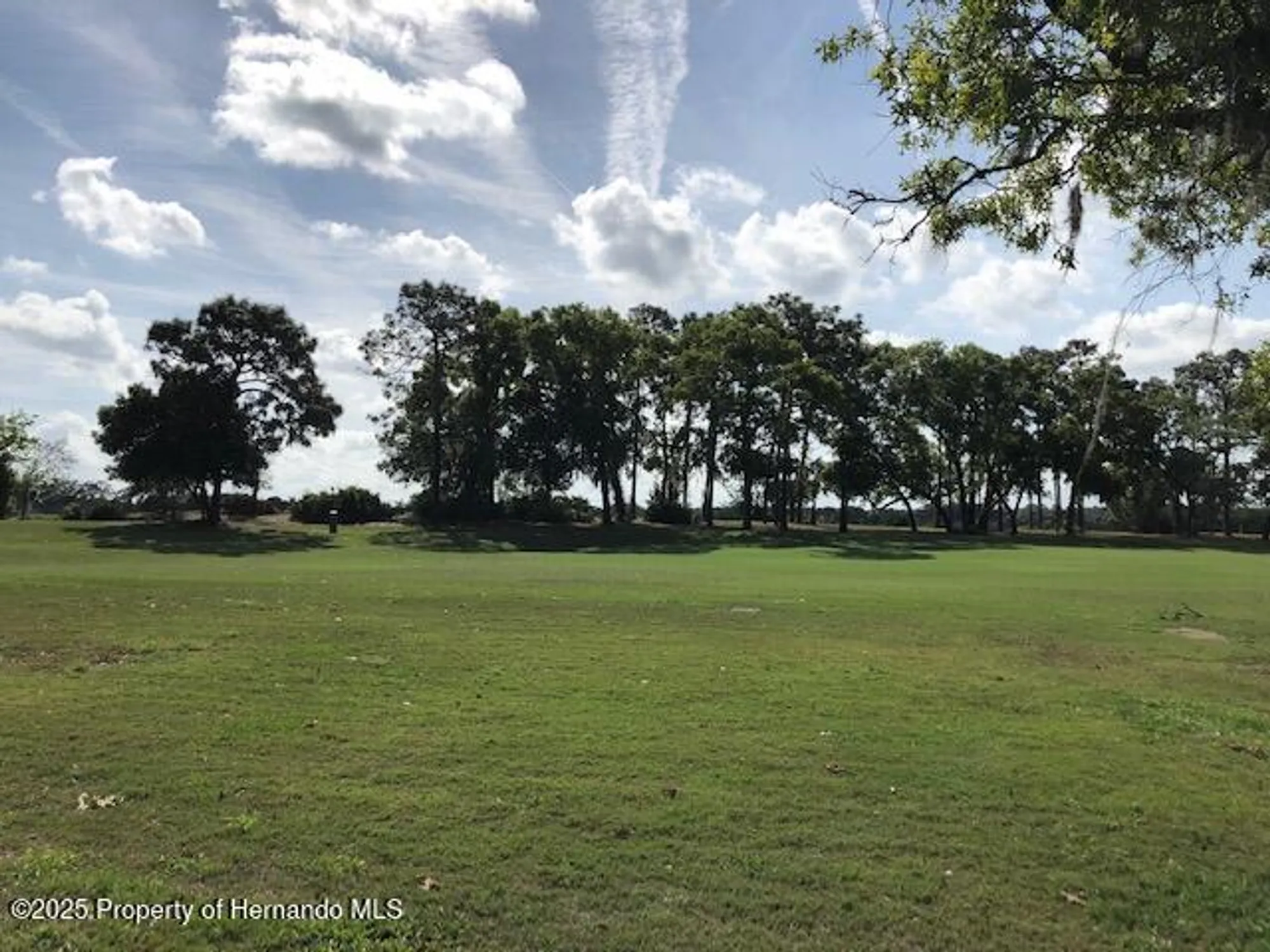 Property Slideshow image 71 of 73 | 8420 maybelle dr, Weeki Wachee, FL, 34613