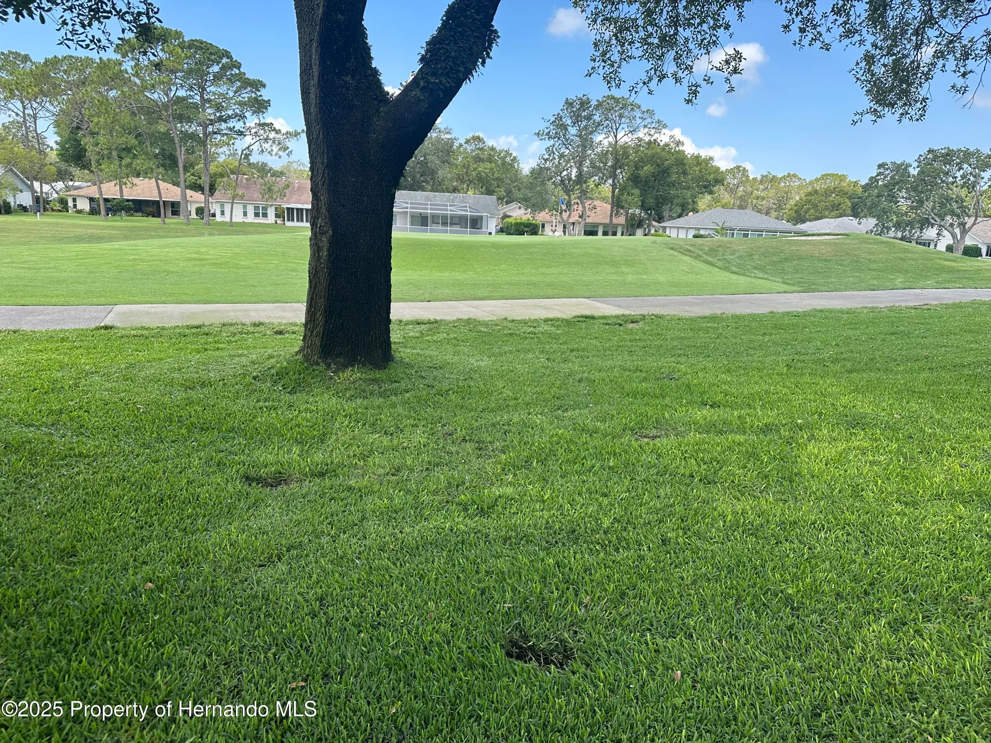 Property Slideshow image 43 of 50 | 2351 palm springs ct, Spring Hill, FL, 34606