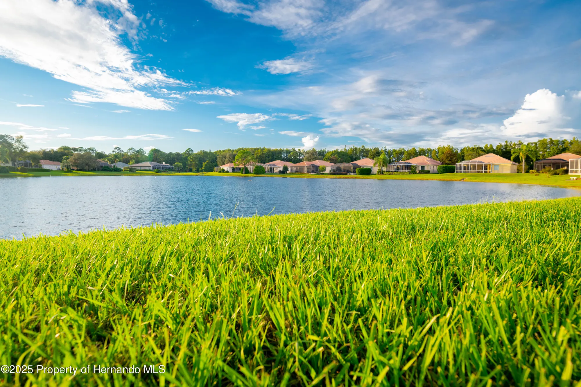 Property Slideshow image 72 of 75 | 9322 seve ct, Weeki Wachee, FL, 34613