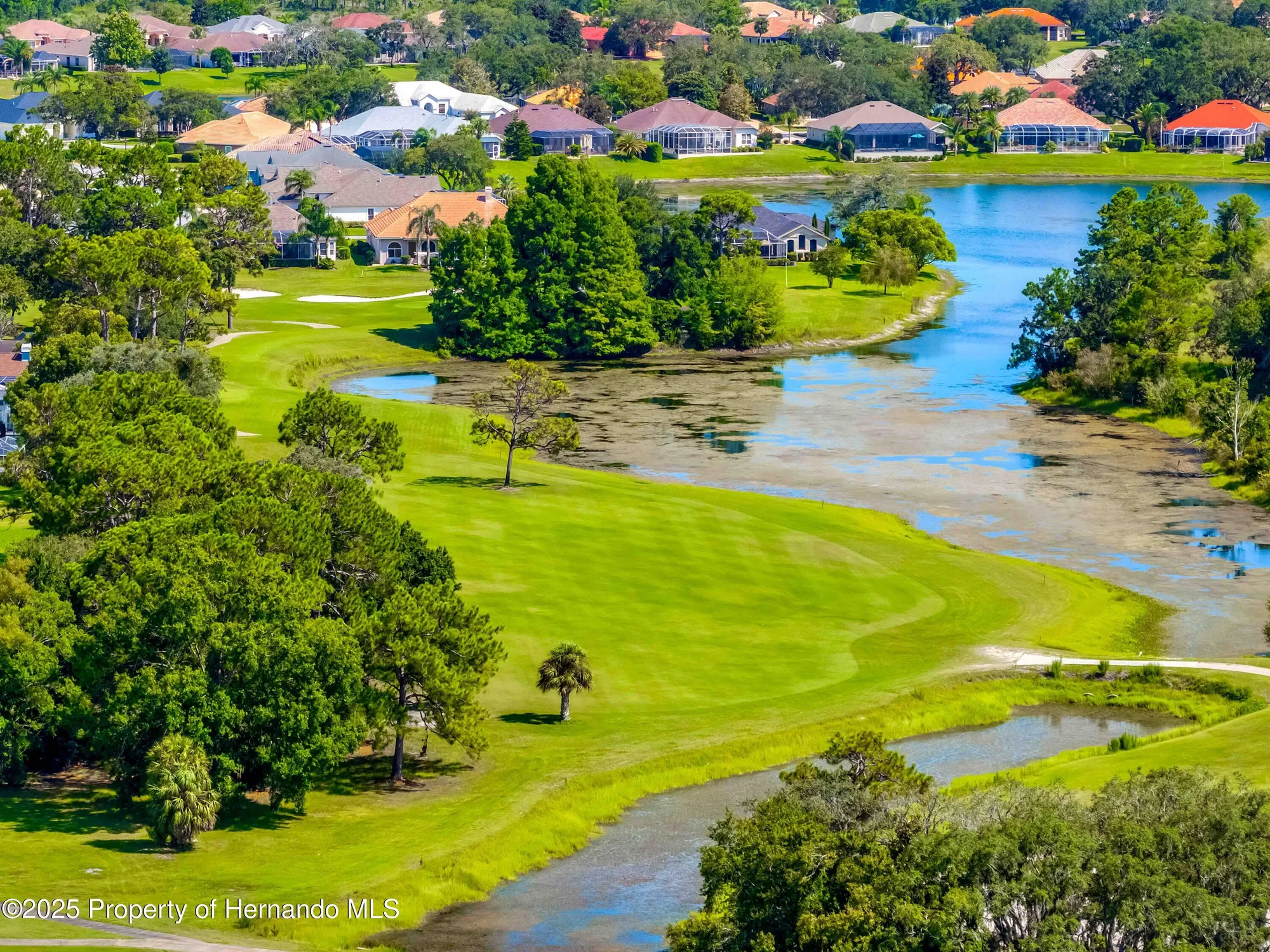 Property Slideshow image 61 of 75 | 9322 seve ct, Weeki Wachee, FL, 34613