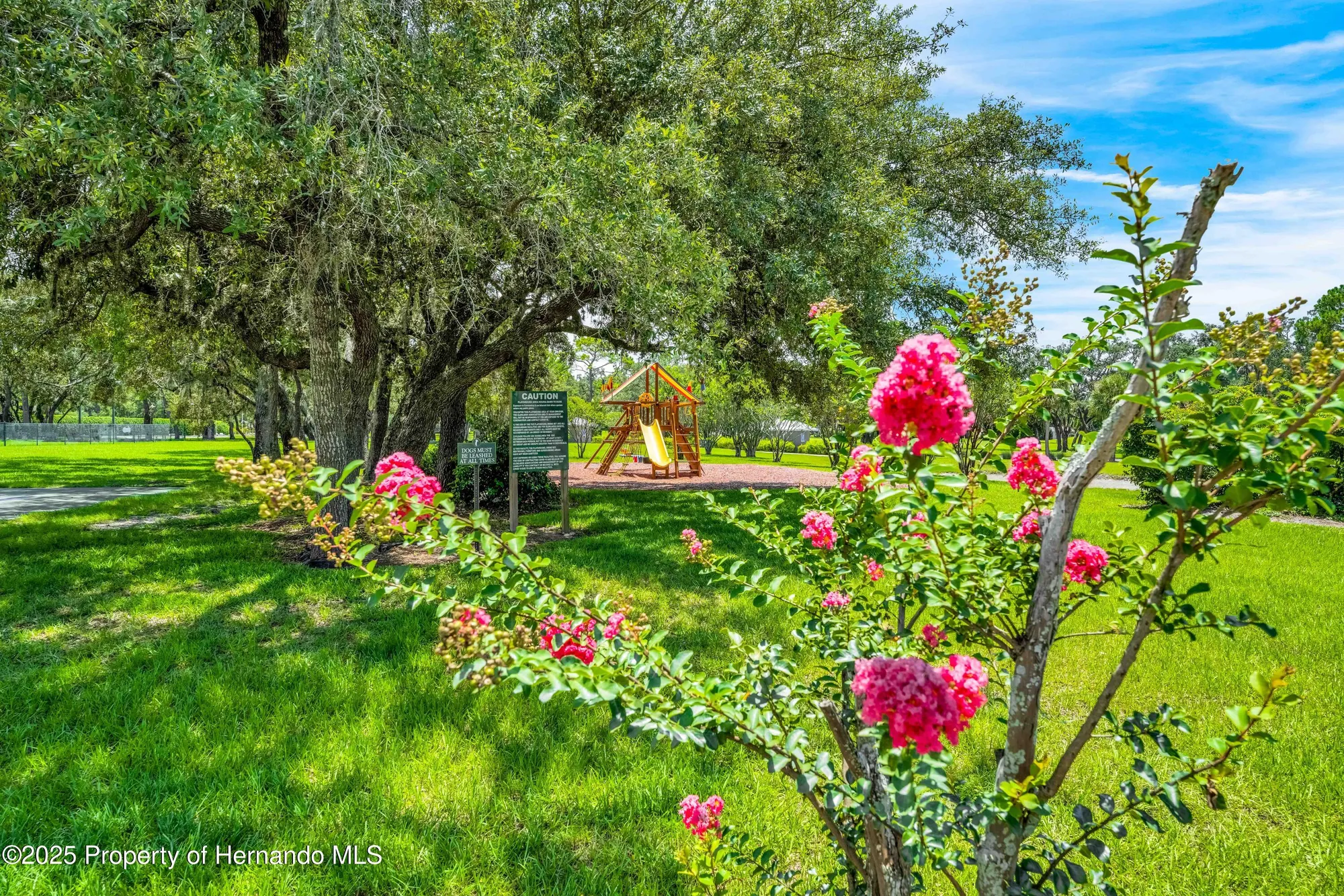 Property Slideshow image 71 of 79 | 9081 wade st, Weeki Wachee, FL, 34613