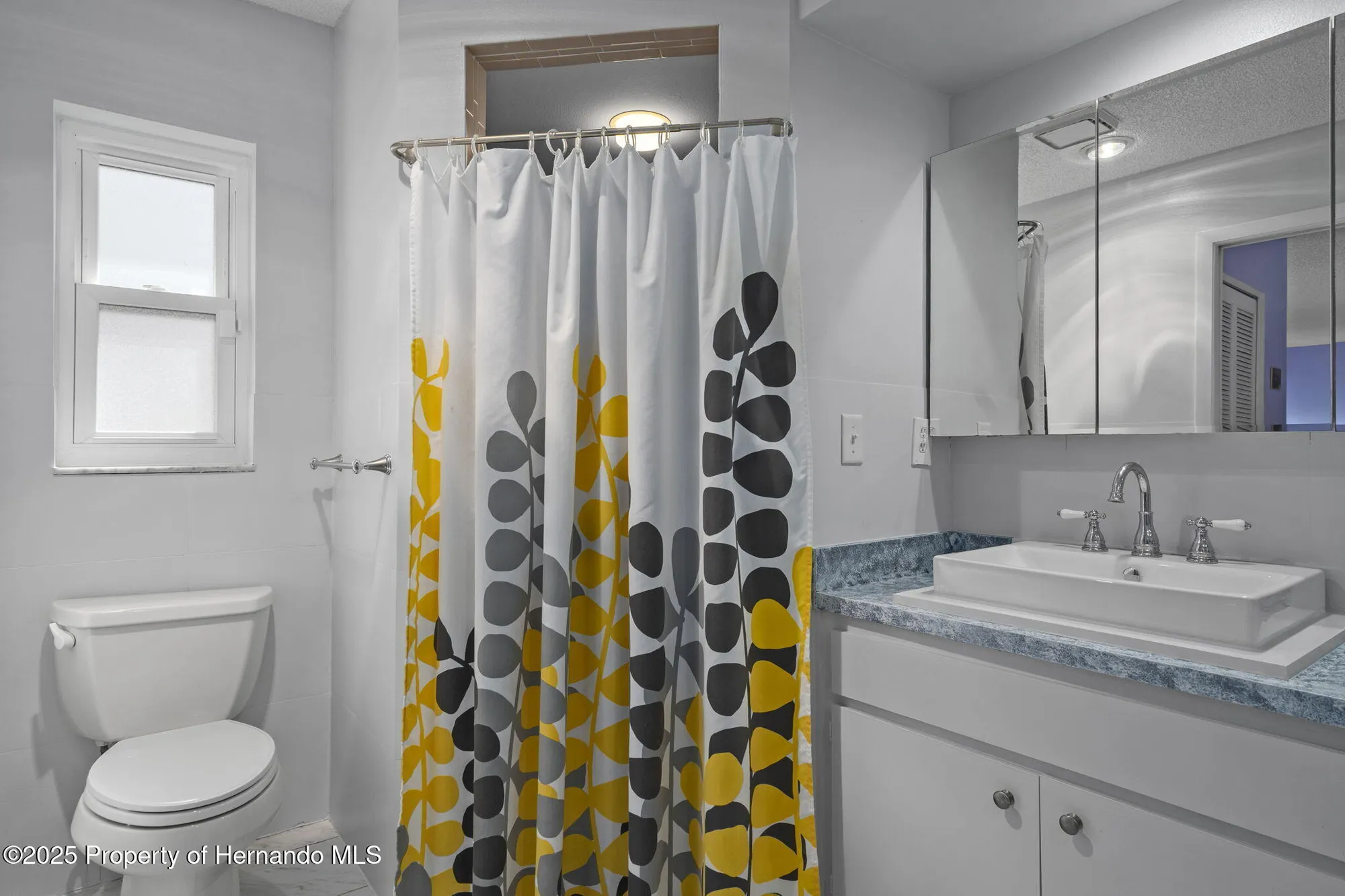 Property Slideshow image 27 of 68 | 7099 pond view ct, Spring Hill, FL, 34606