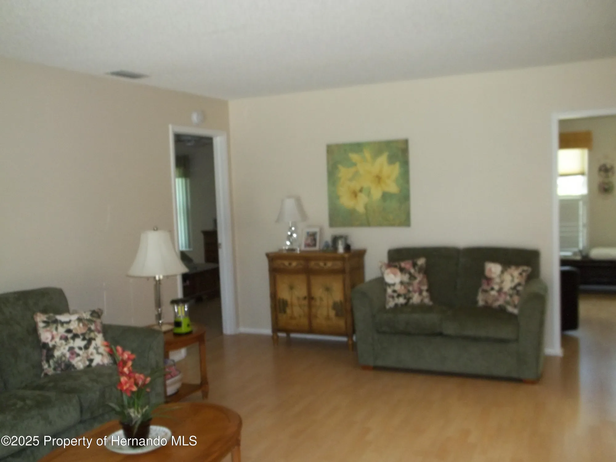 Property Slideshow image 8 of 15 | 2245 dove hollow dr, Spring Hill, FL, 34606