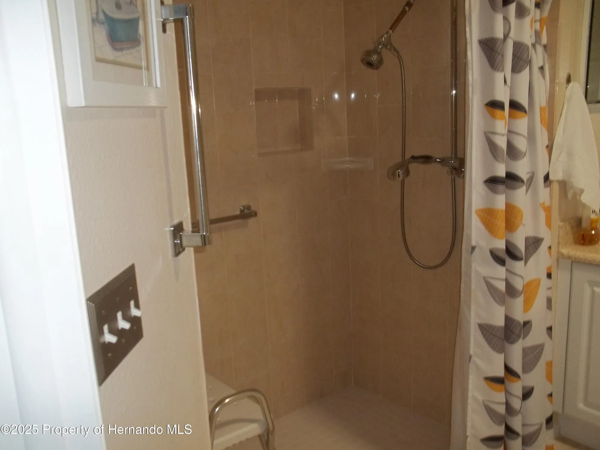 Property Slideshow image 11 of 15 | 2245 dove hollow dr, Spring Hill, FL, 34606