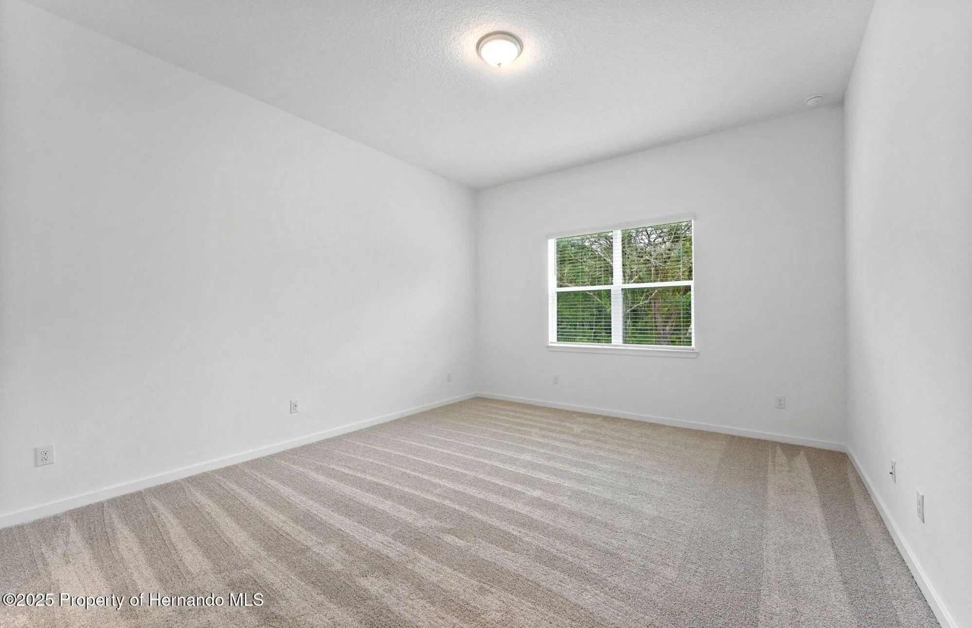 Property Slideshow image 8 of 26 | 13682 canyon ridge dr, Spring Hill(Pasco), FL, 34610