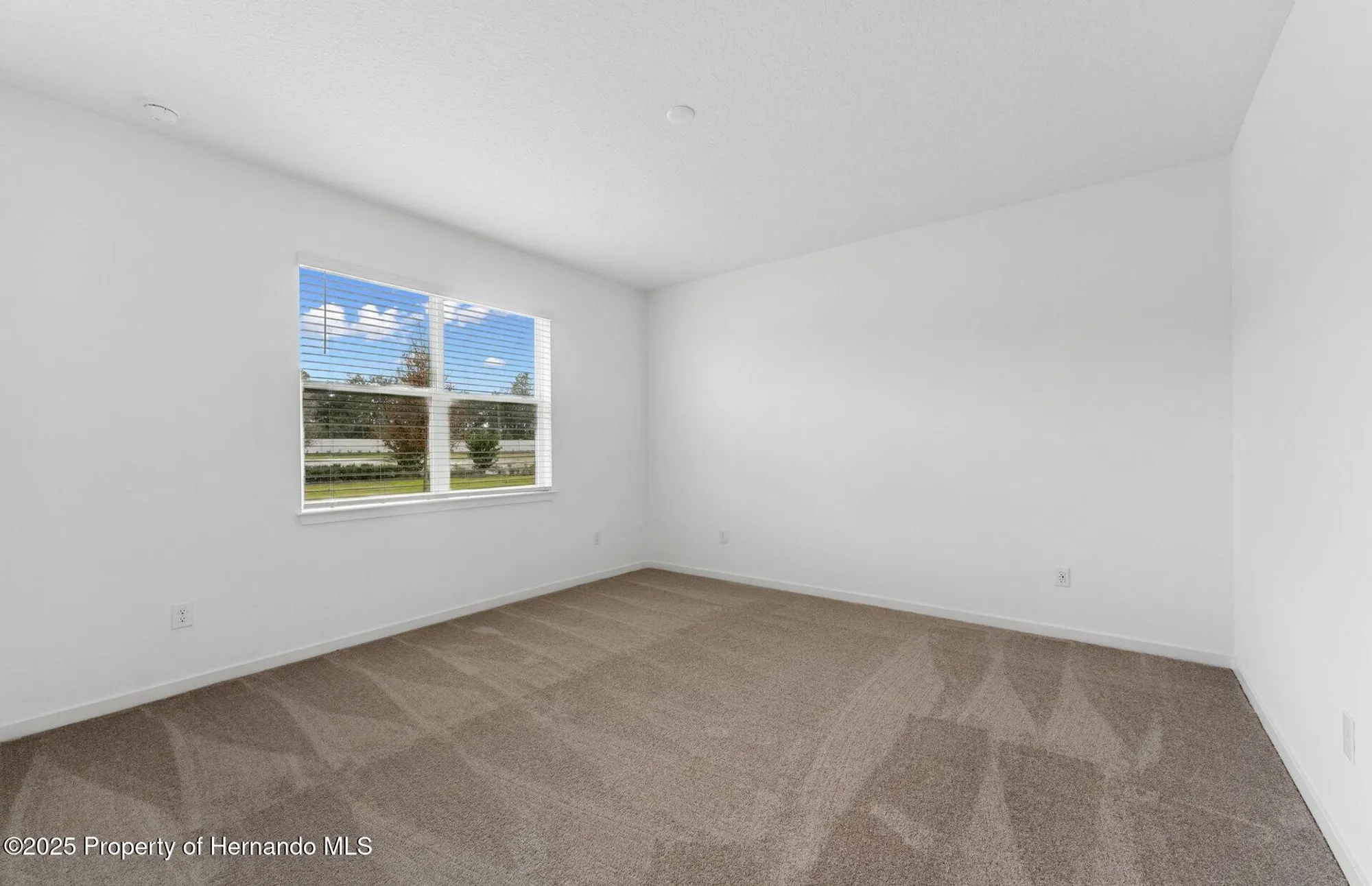 Property Slideshow image 6 of 26 | 13747 canyon ridge rd, Spring Hill(Pasco), FL, 34610