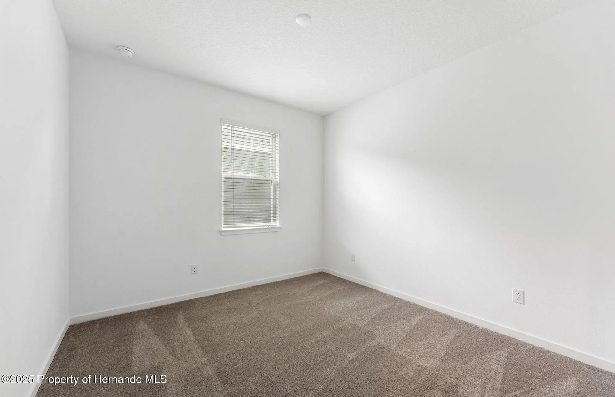 Property Slideshow image 10 of 26 | 13747 canyon ridge rd, Spring Hill(Pasco), FL, 34610