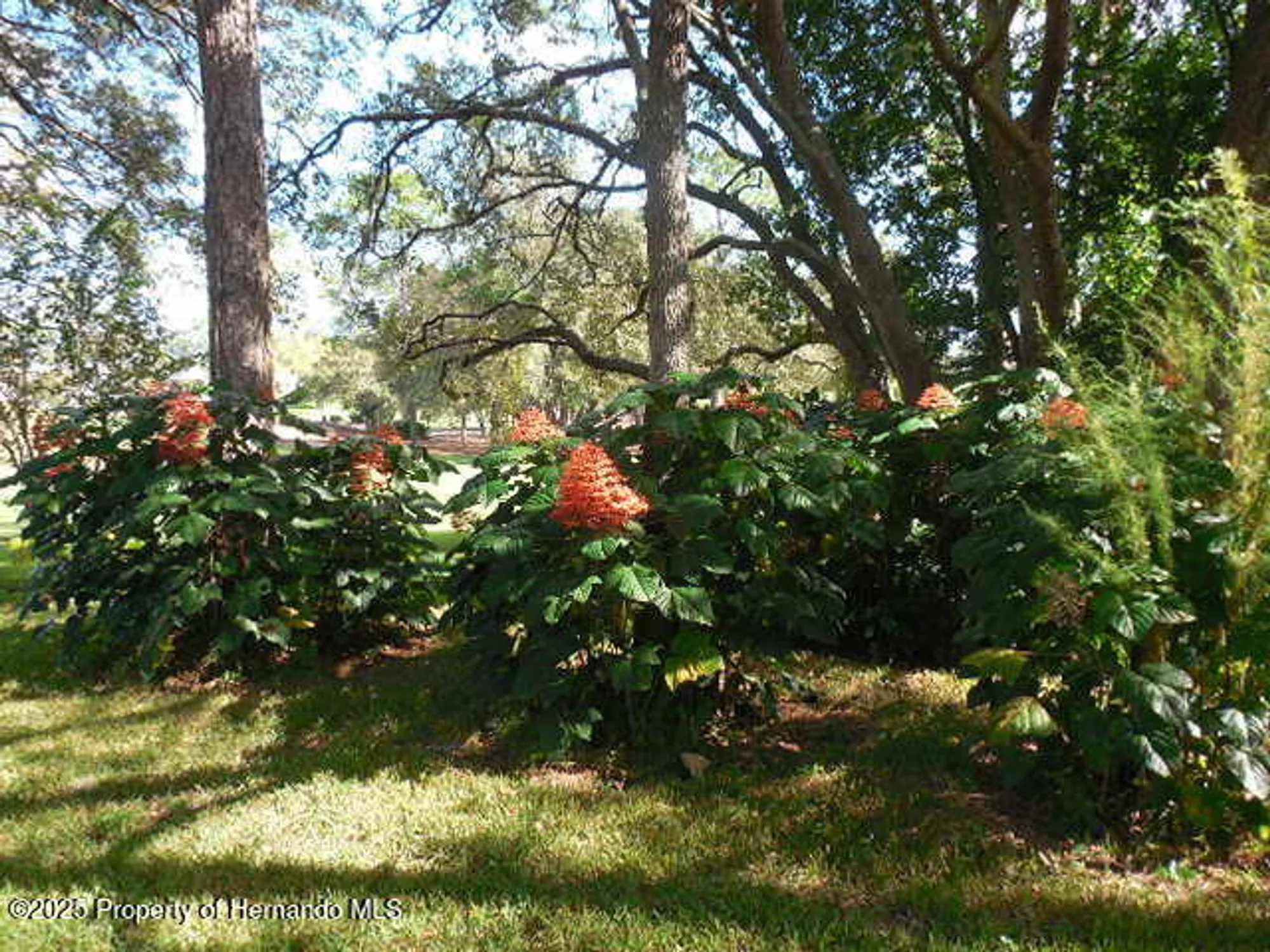 Property Slideshow image 31 of 33 | 7399 prince george ct, Spring Hill, FL, 34606